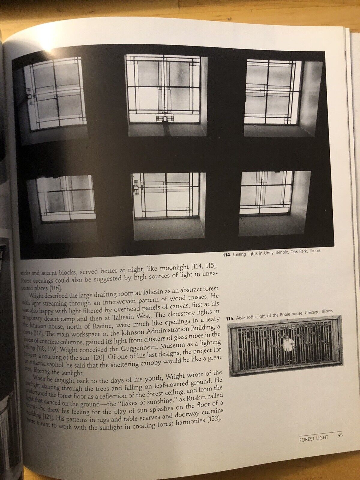 Frank LLoyd Wright - Architecture and nature. Donald Hoffmann 1986 ARCHITETTURA