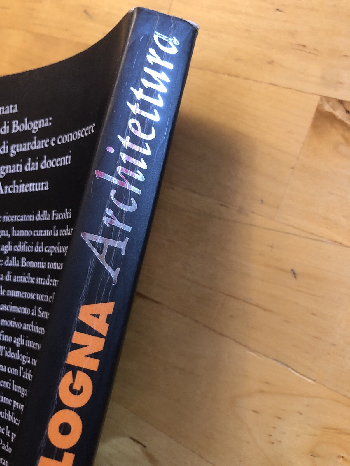 Guida di Bologna Architettura, Allemandi 2004