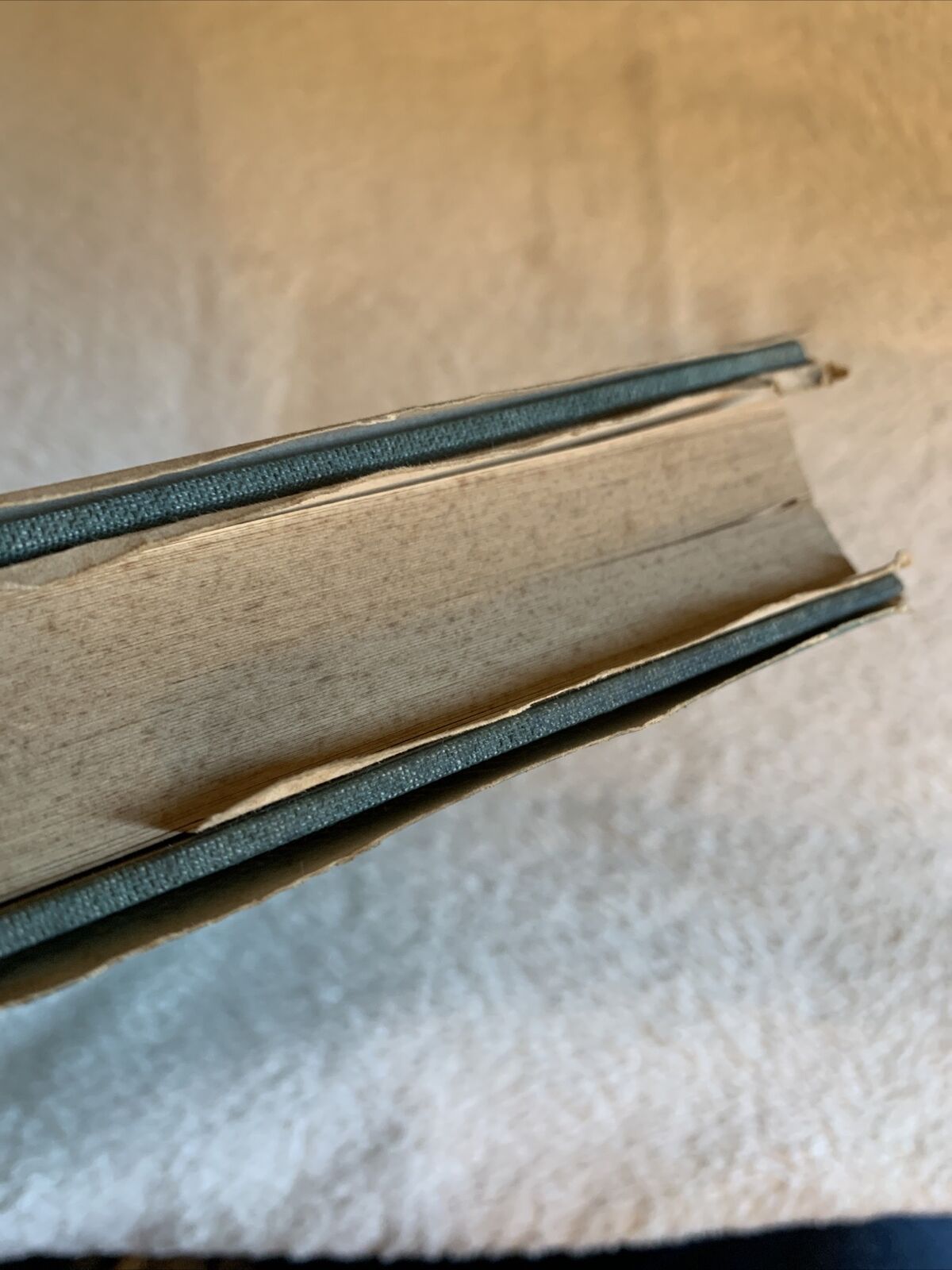 POPULATION AND SOCIETY IN THE ARAB EAST, Gabriel Baer. Routledge and Kegan 1964