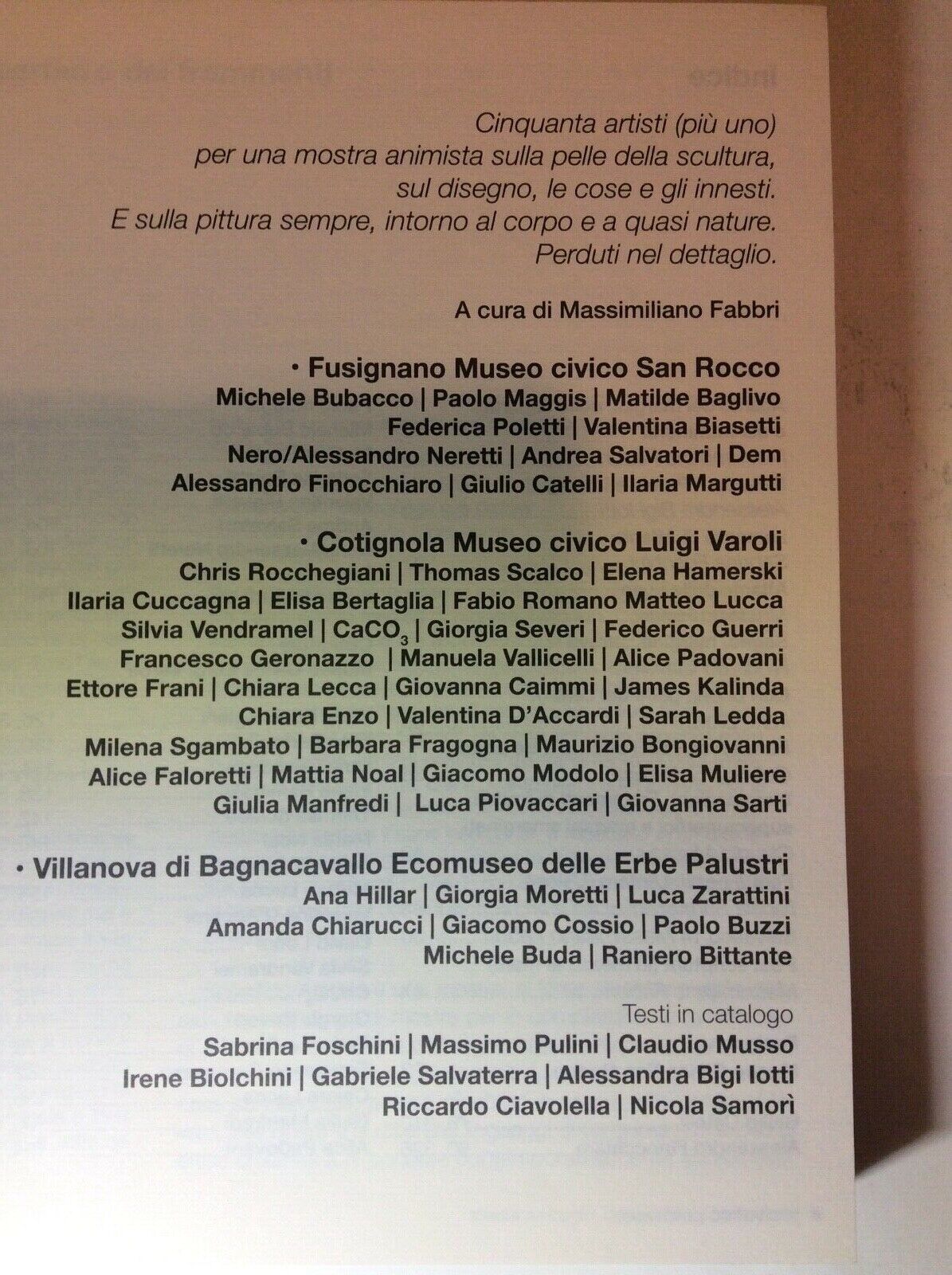 ATLANTE DEI MARGINI, DELLE SUPERFICI E DEI FRAMMENTI.SELVATICO (14) 2019