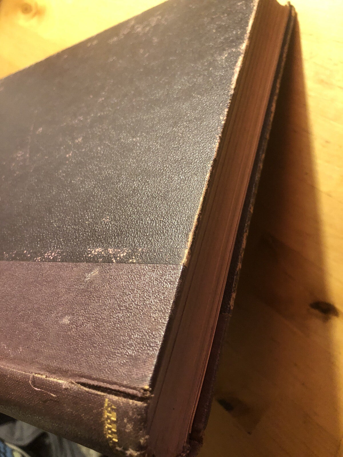 La divina commedia illustrata da Gustavo Doré - Sonzogno, Eugenio Camerini