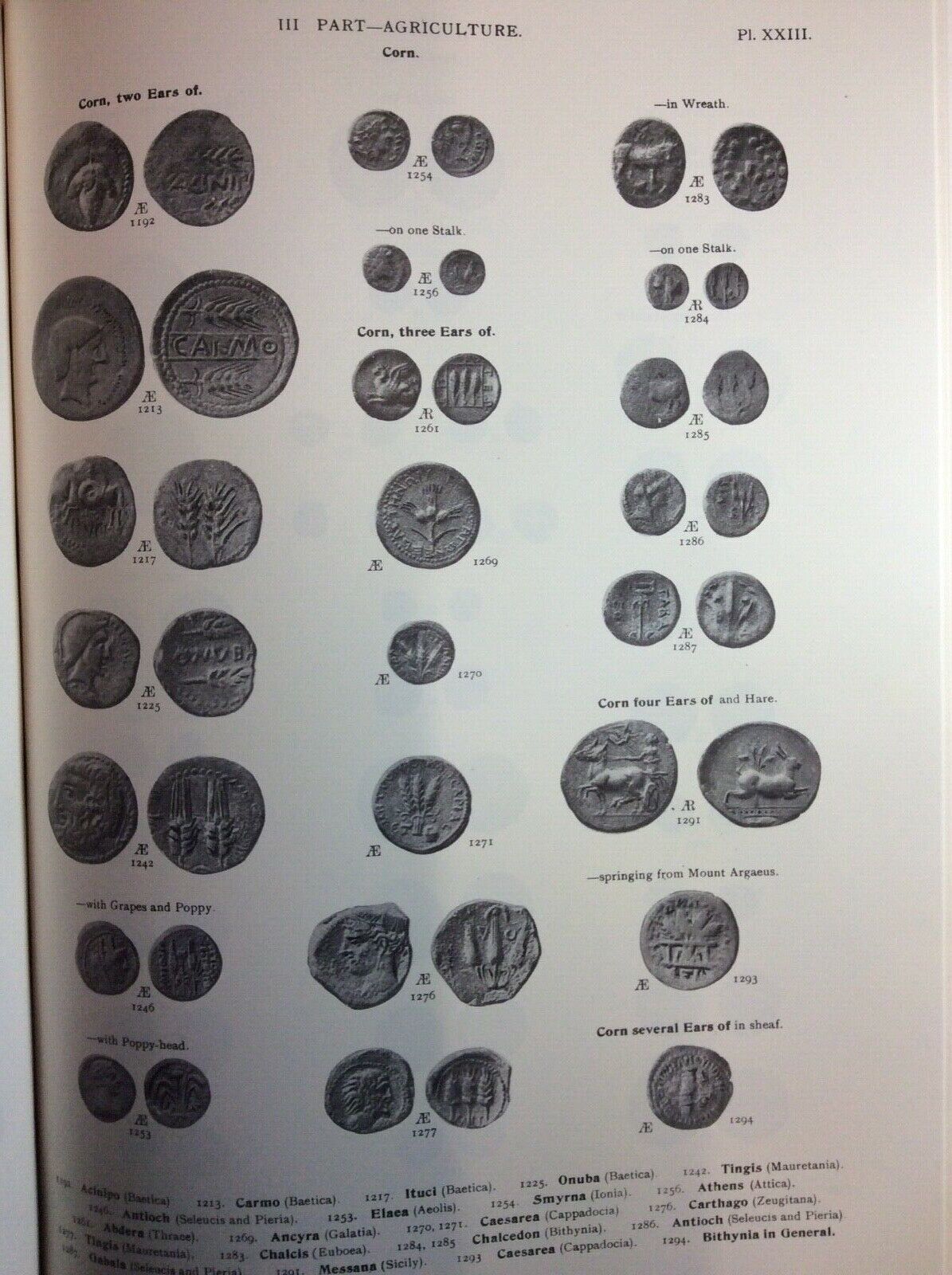 NUMISMATA GRAECA GREEK COIN-TYPES, ANSON, RISTAMPA FORNI EDITORE, TEXT & PLATES