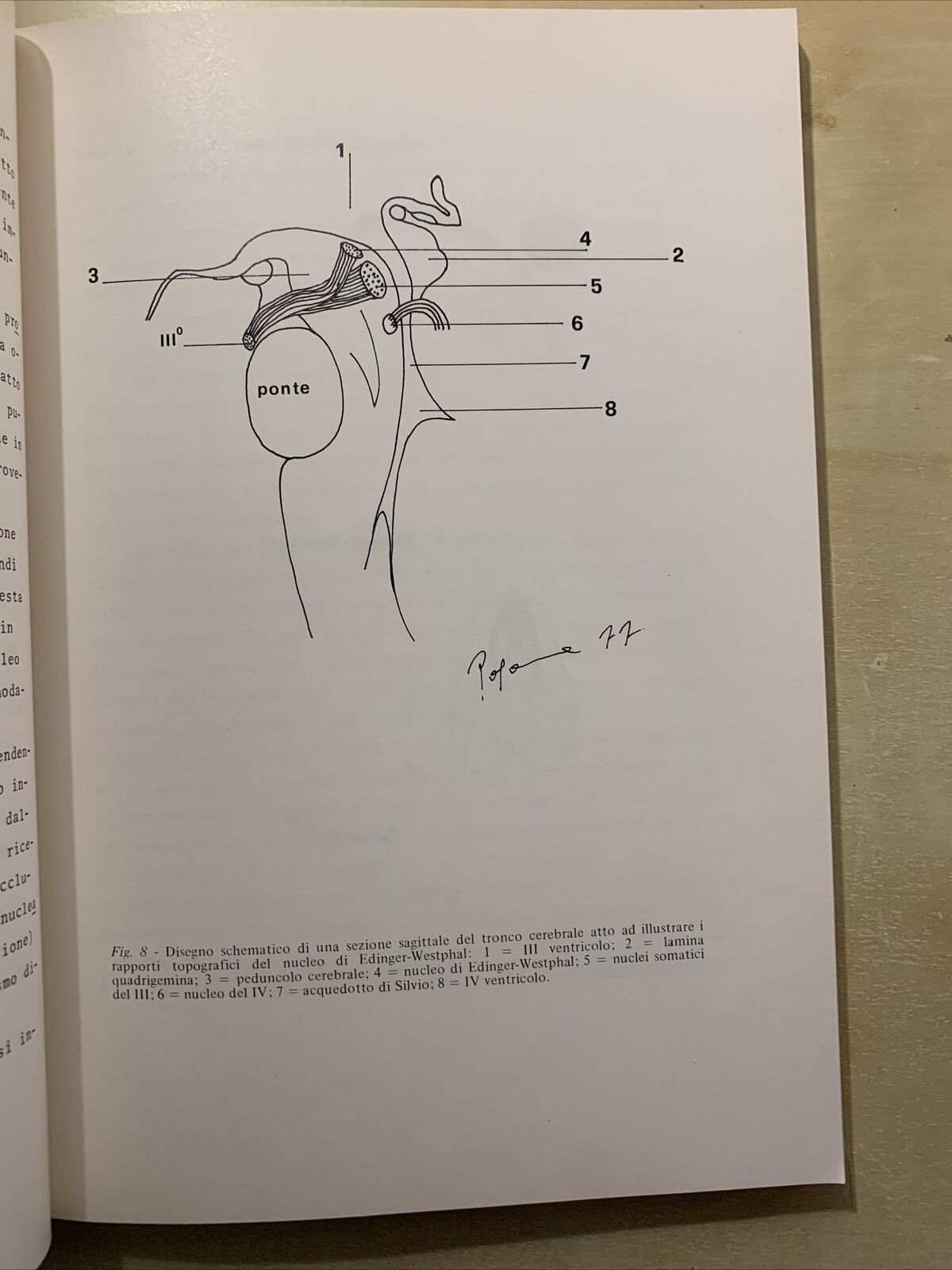 APPUNTI DI NEUROFTALMOLOGIA - PATOLOGIA DEL SISTEMA NERVOSO. F. CARTA 1977 #