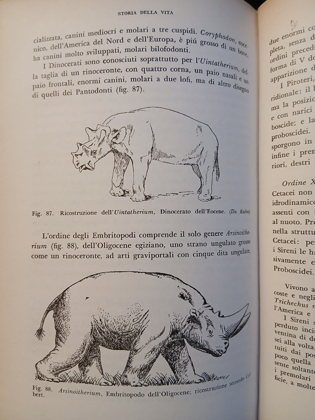 Storia della vita sulla terra 5 - Emanuele Padoa - Feltrinelli ed. 1959