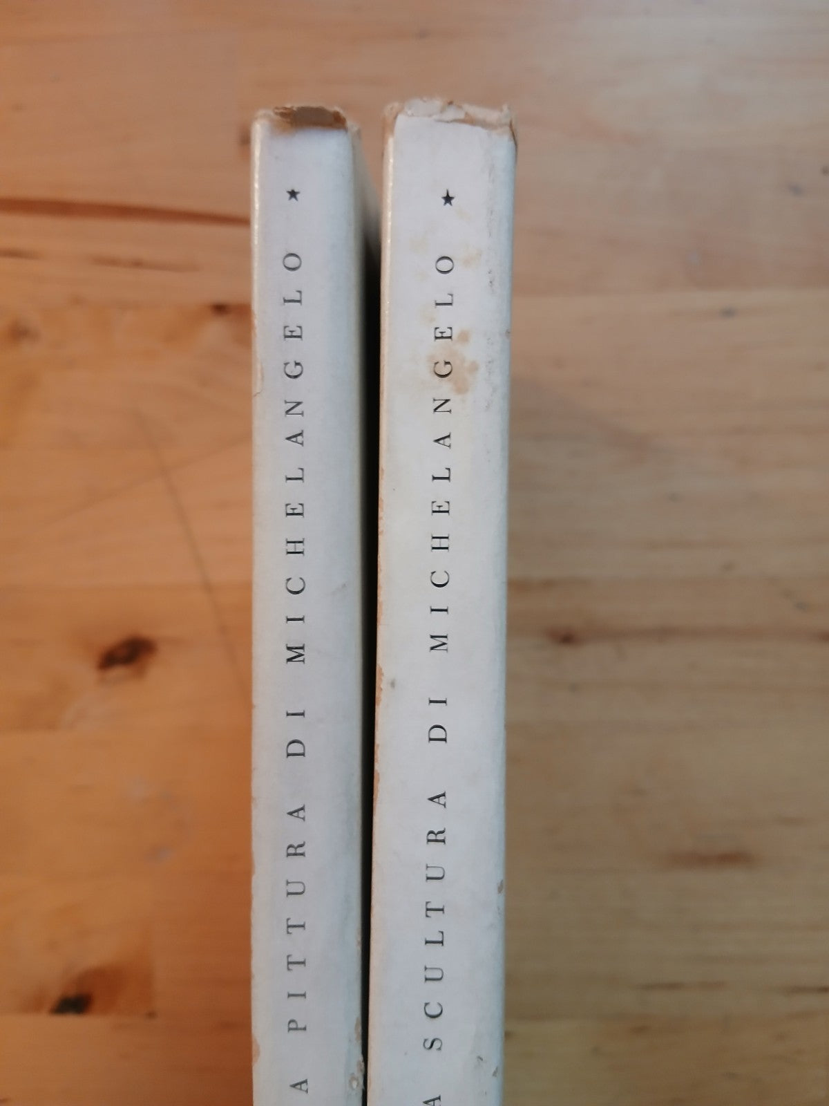 Michelangelo Tutta la scultura - Pittura Biblioteca d'arte - Rizzoli 1953 '52