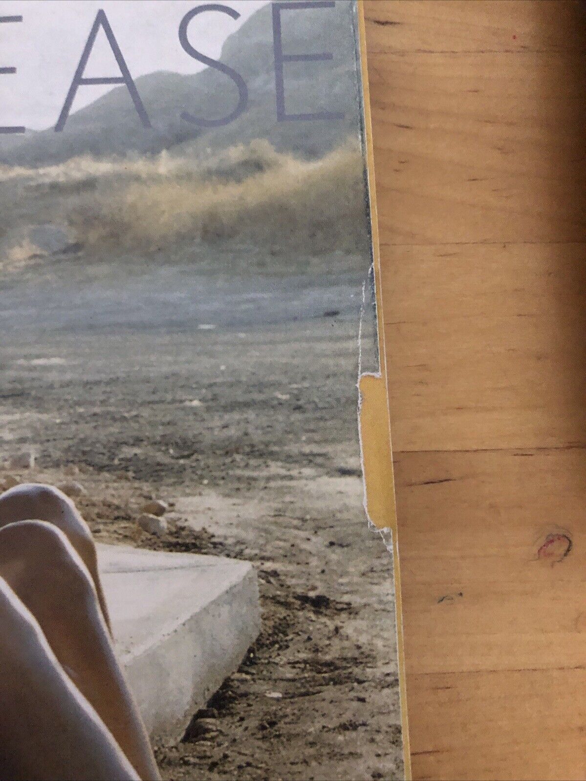 VOGUE ITALIA NOV. 2003 N. 639 -  THE NEW EASE