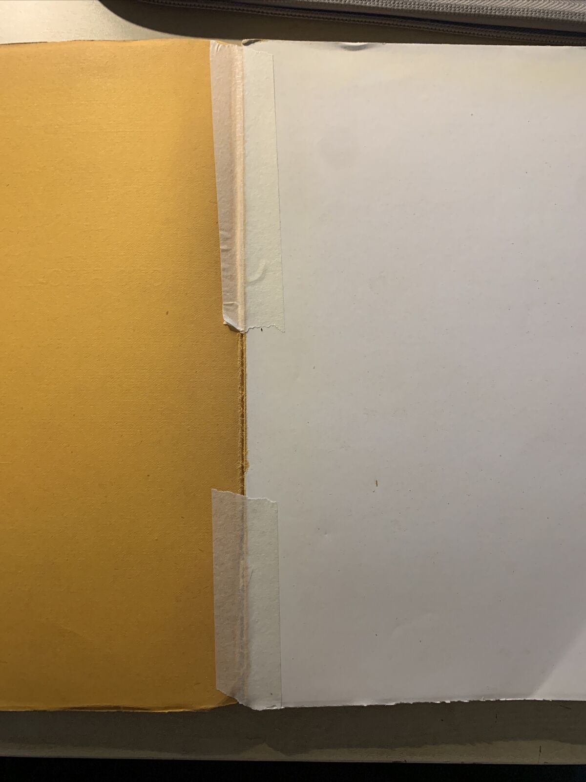 LA RADIOLOGIA IN OTORINO LARINGOLOGIA. G. LASCHI, VIGI. CAPPELLI 1931 #