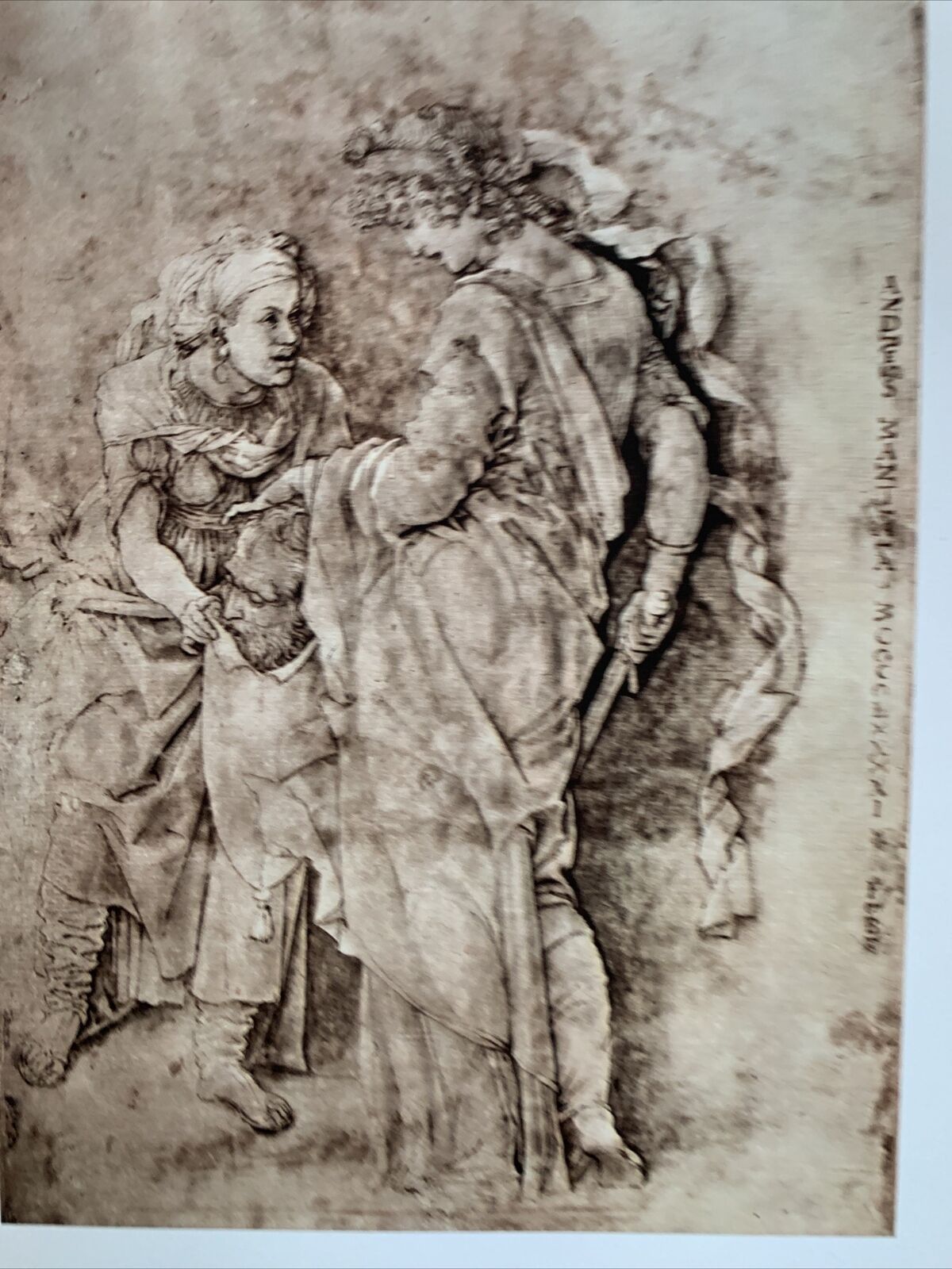 Disegni italiani dal XIII al XIX secolo. Edizioni Minerva 1963