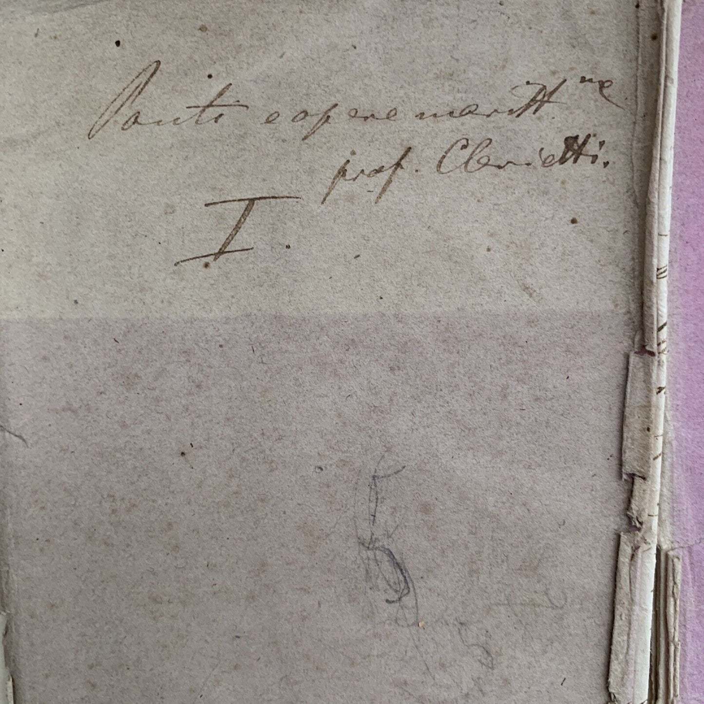 CELESTE CLERICETTI, appunti manoscritti di uno studente UNIVERSITÀ PAVIA 1875 #