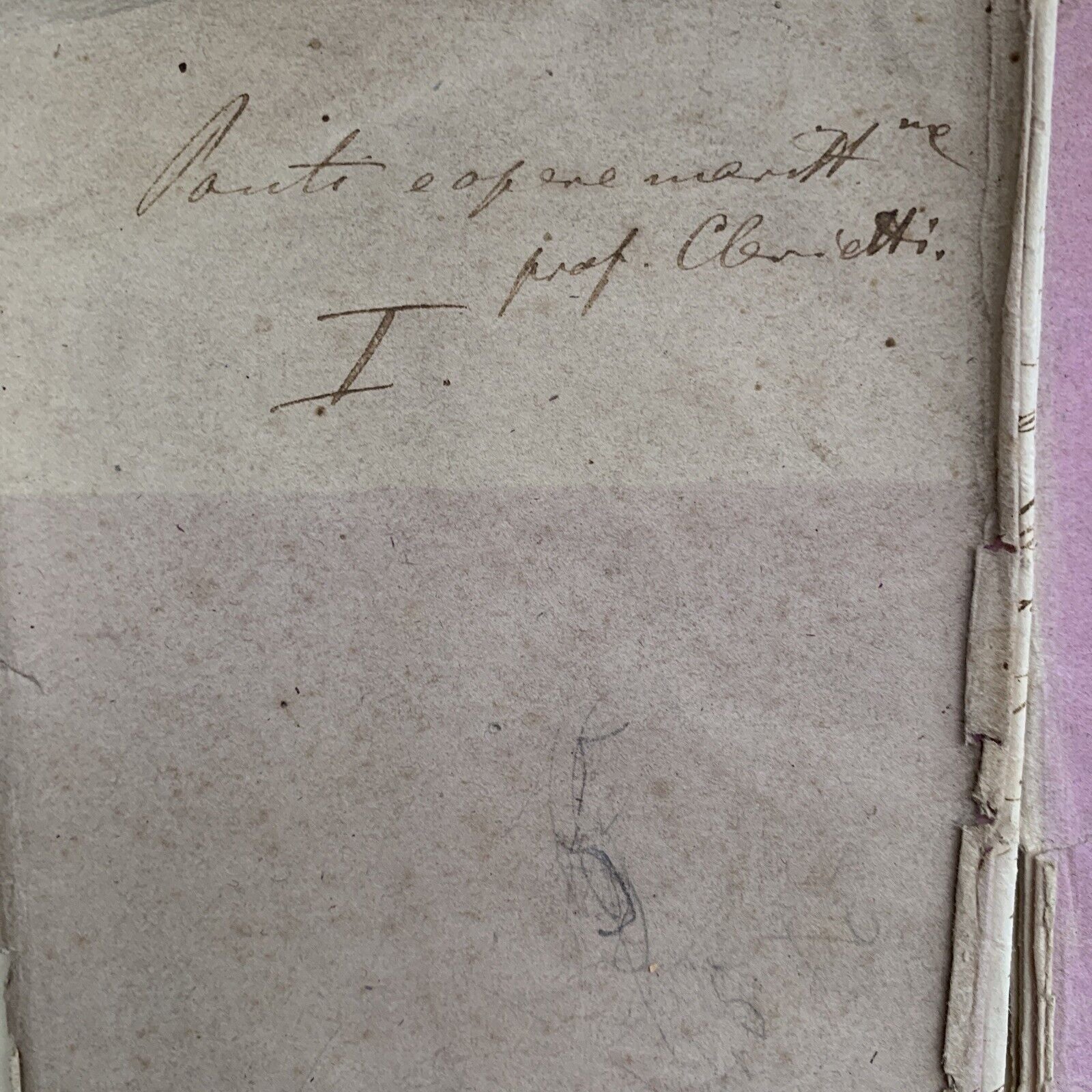 CELESTE CLERICETTI, appunti manoscritti di uno studente UNIVERSITÀ PAVIA 1875 #