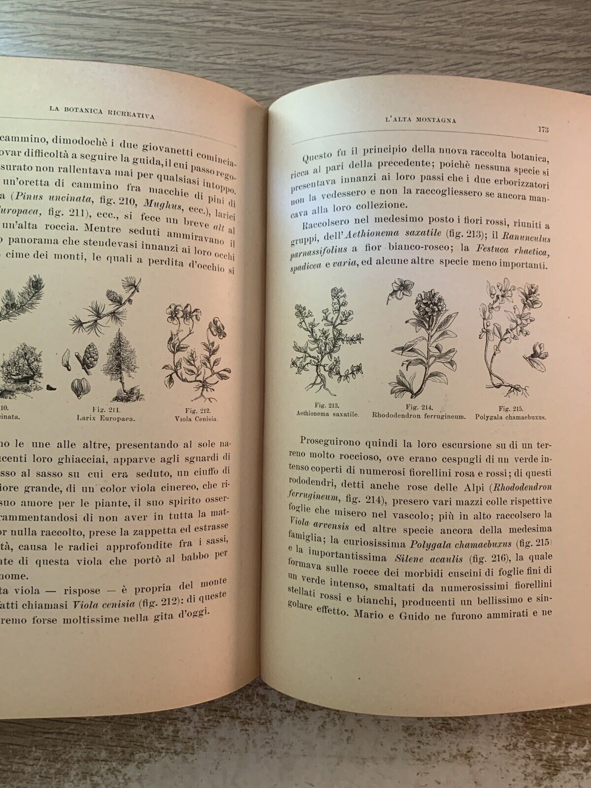 La Botanica Ricreativa, Giuseppe Roda. Paravia 1907 meraviglie della vegetazione