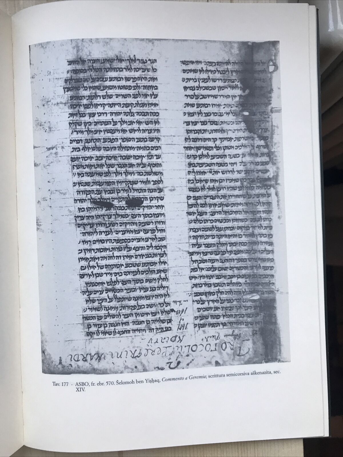 I FRAMMENTI EBRAICI DI BOLOGNA, archivio di stato e collezioni minori, Olschki