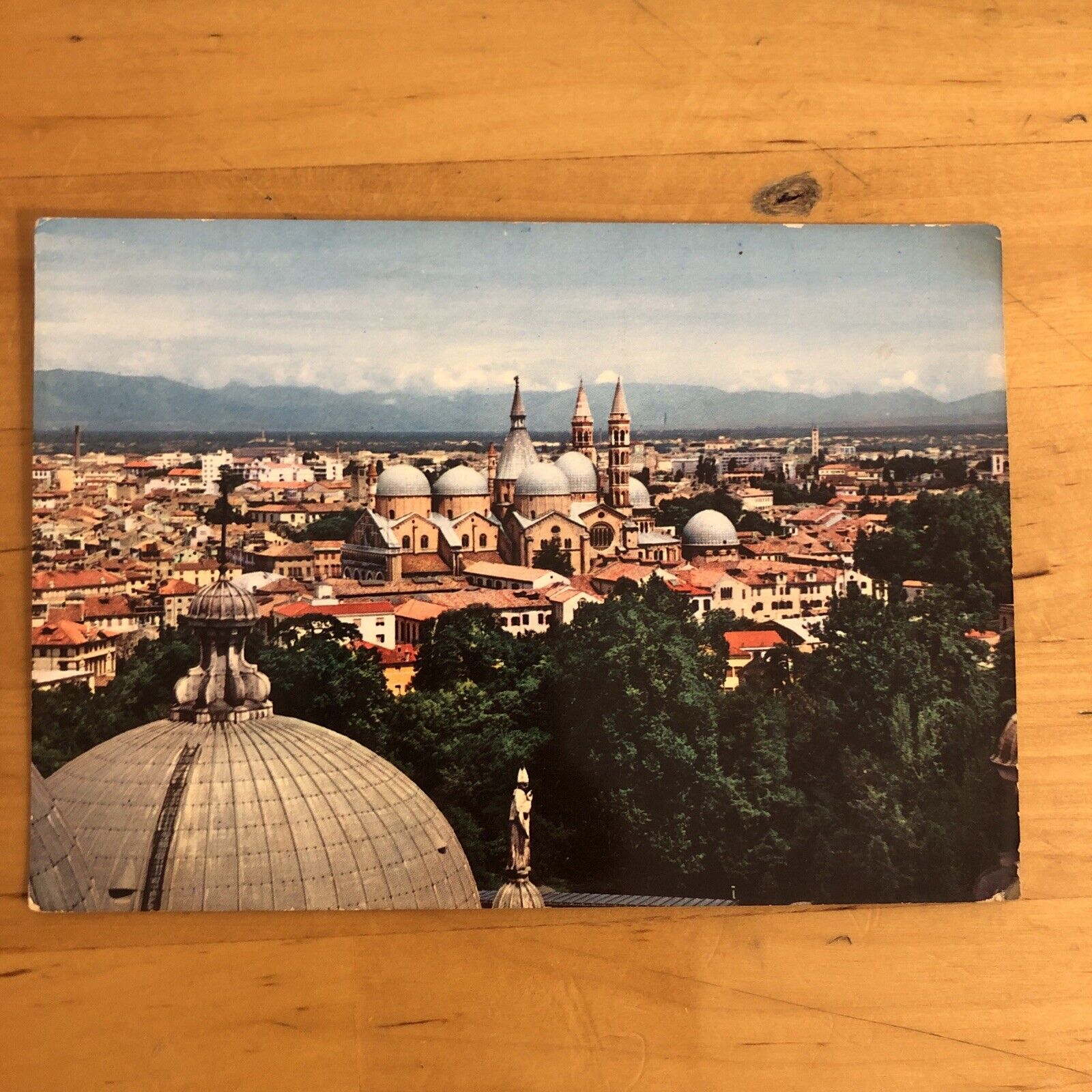 Cartolina PADOVA PANORAMA non viaggiata