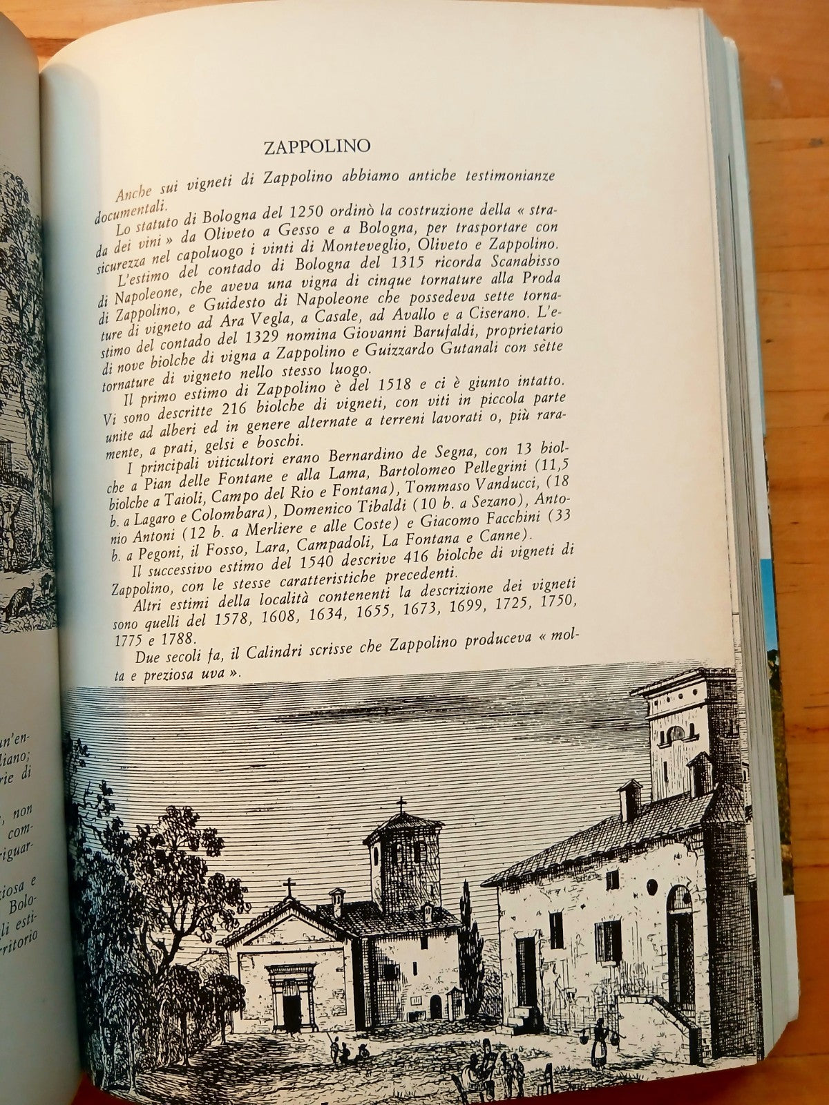 Monte San Pietro (Bologna) guida storica Enogastronomica agreste Colline occiden