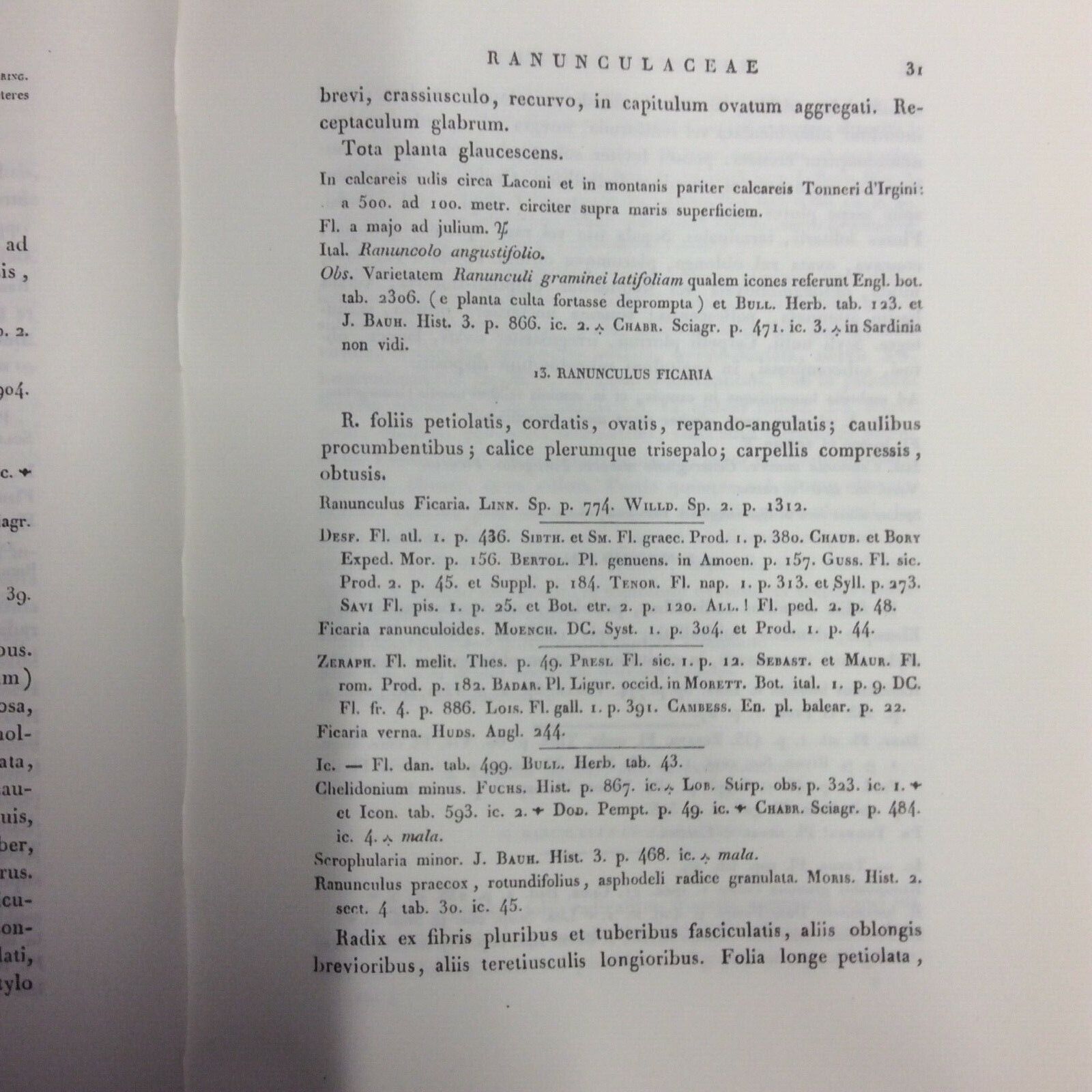 FLORA SARDOA SEU HISTORIA PLANTARUM, JOSEPHO HYACINTHO MORIS, ANASTATICA FORNI