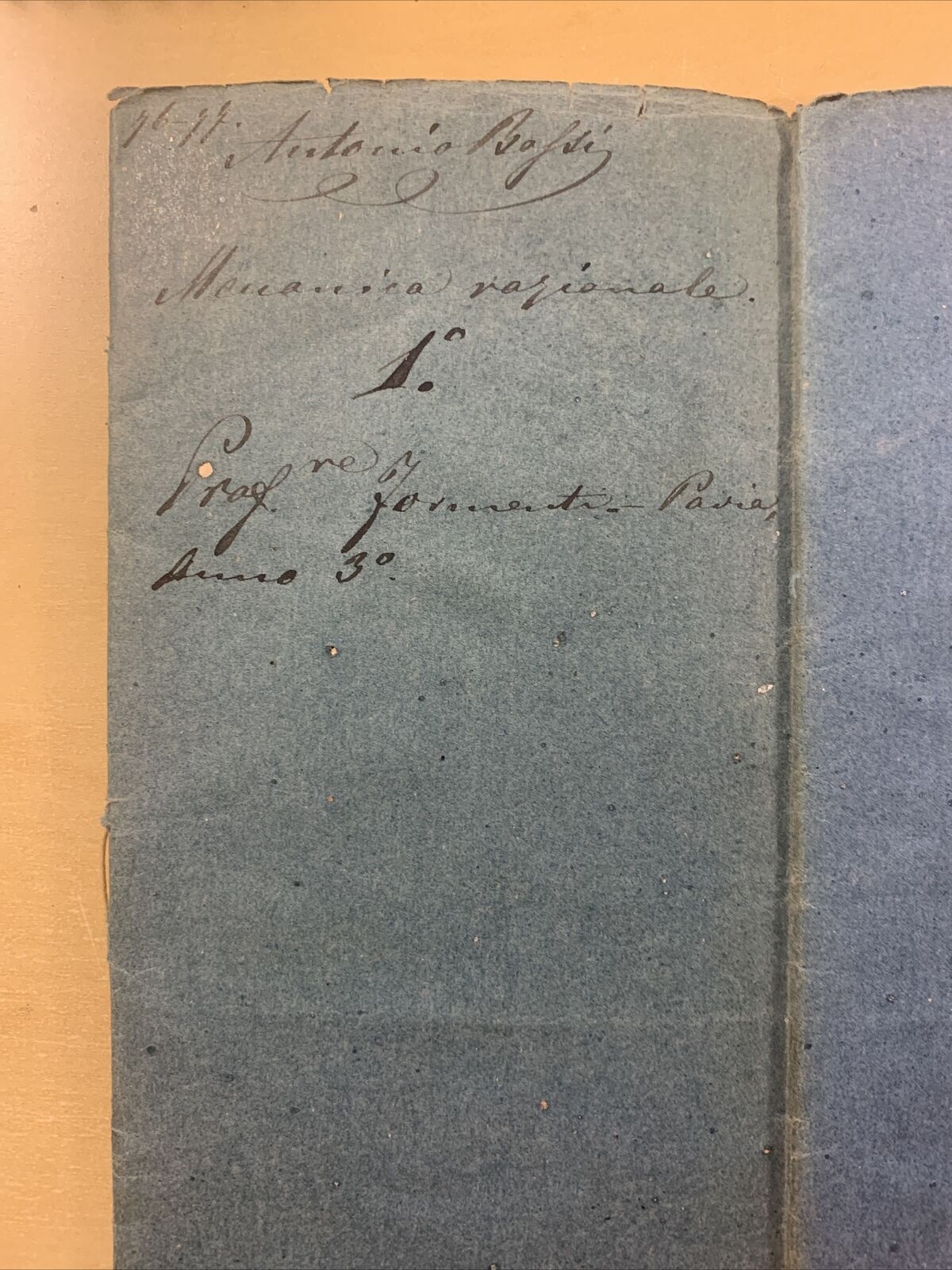 Antico Manoscritto Università di Pavia 1876, Meccanica Razionale, Carlo Formenti