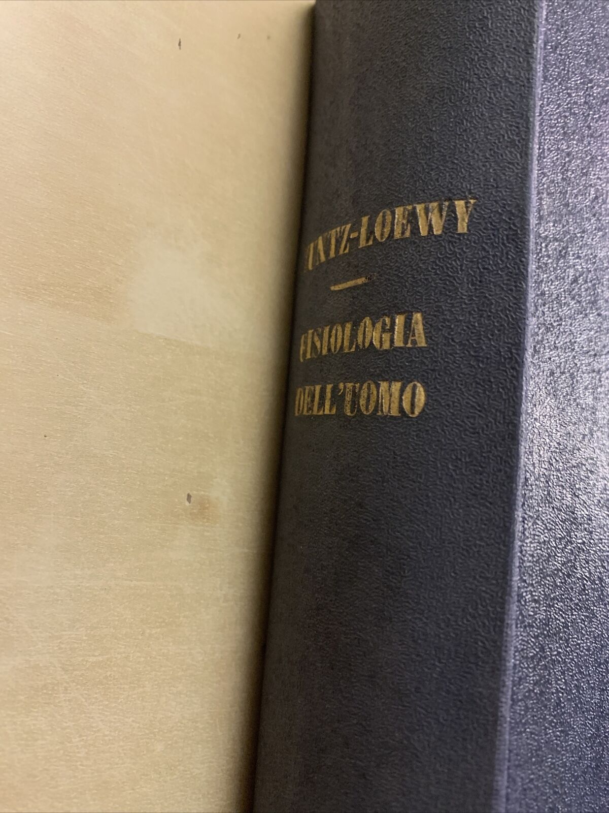 MANUALE DI FISIOLOGIA DELL'UOMO - ZUNTZ, LOEWY 1918  - - 816 PAGINE. UTET #