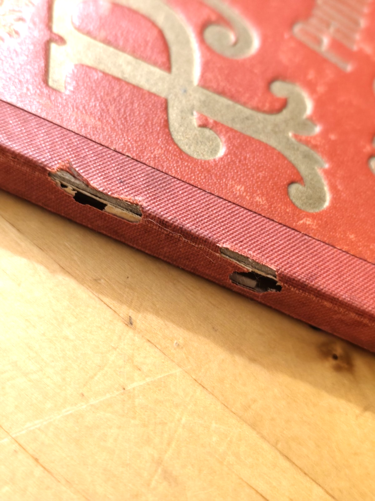 Souvenir de Paris Photographies en Couleurs. L'abeille anni '10/'20