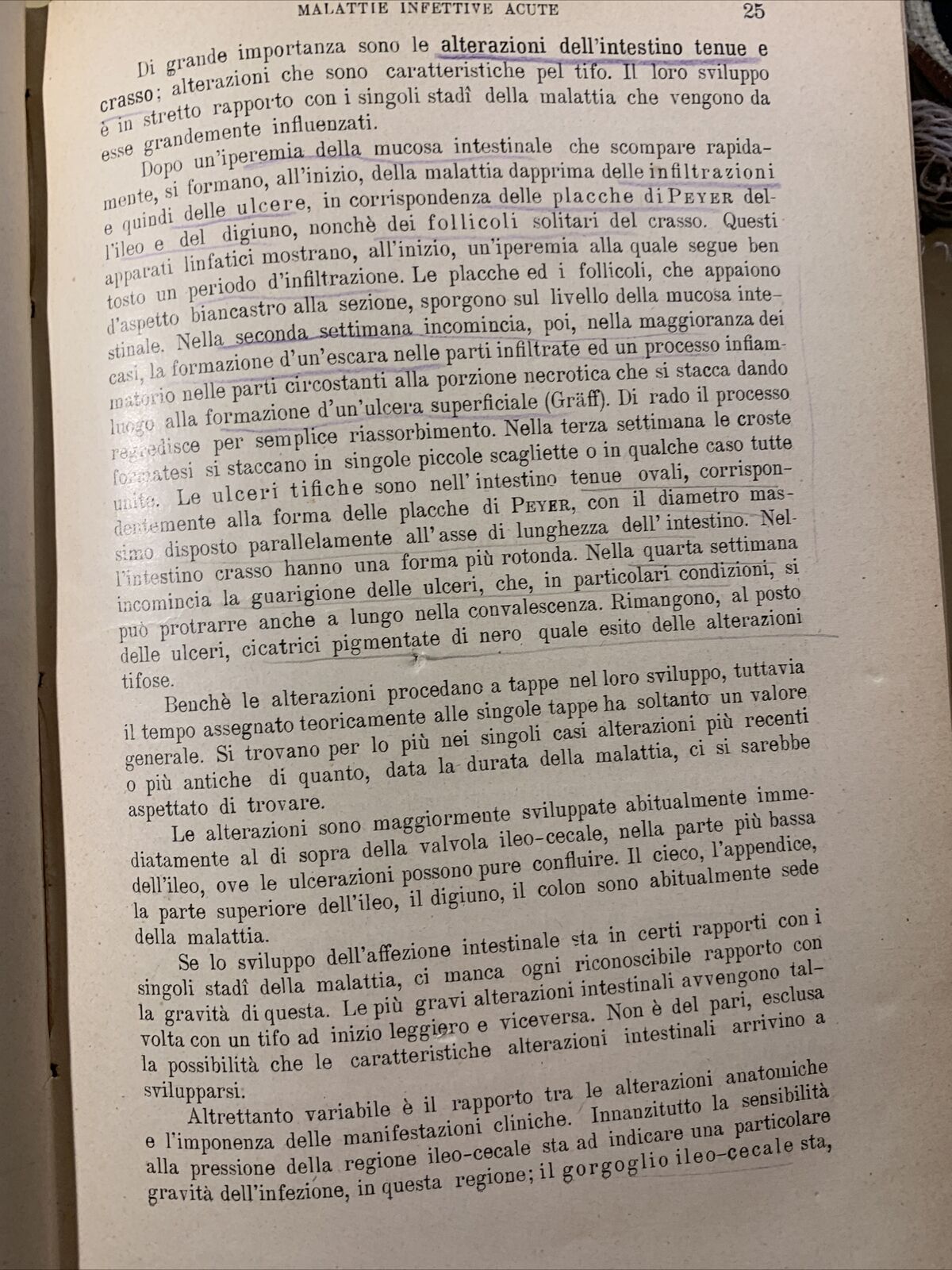 TRATTATO DELLE MALATTIE INTERNE, J. v. Mering. Società Editrice Libraria 1926