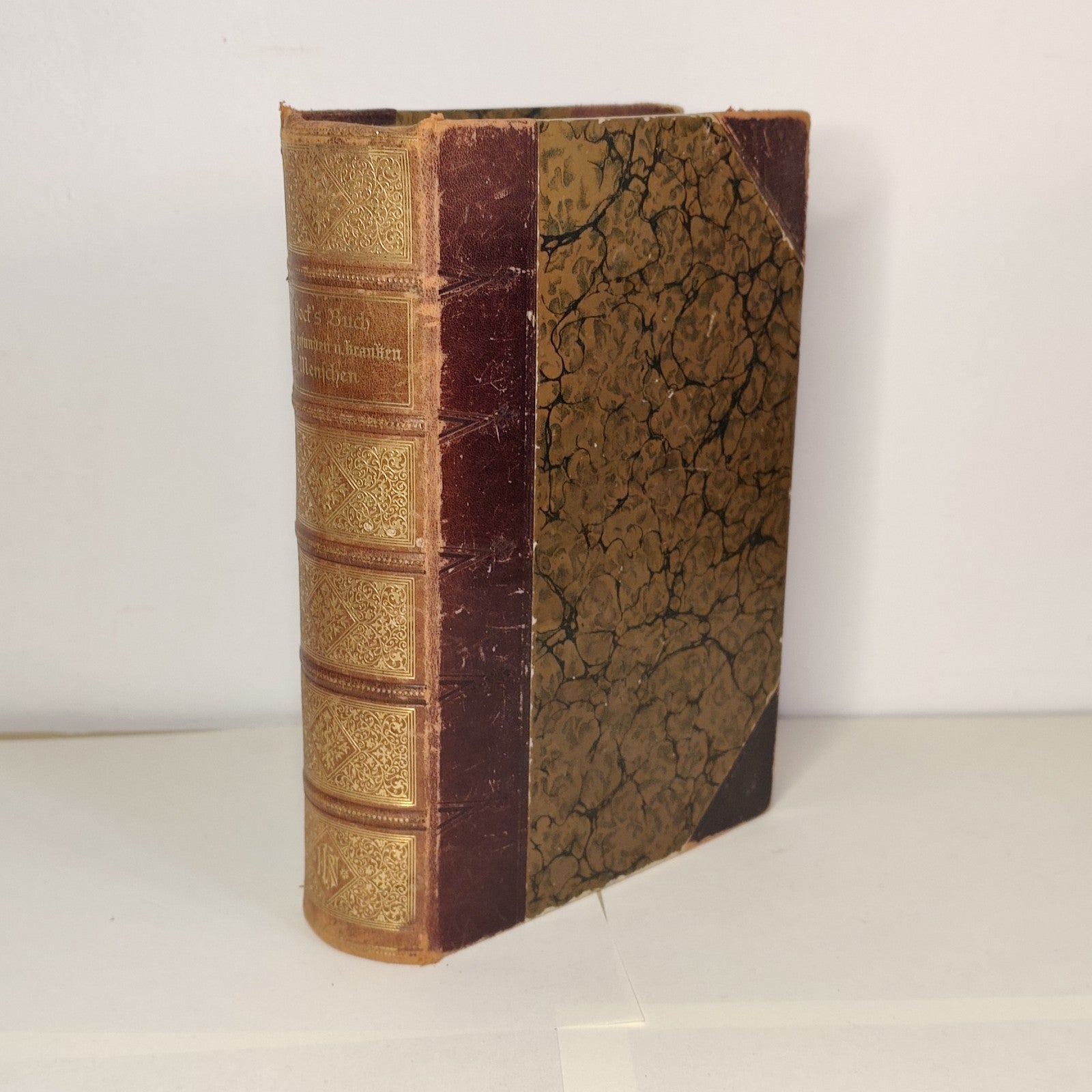 Das Buch vom Gesunden und kranken menschen - Ernst Bock 1889 Antico testo medico
