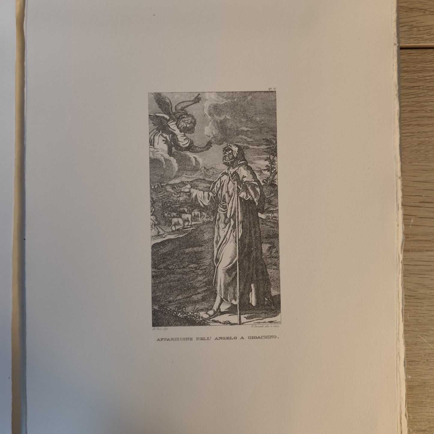 Pitture di Bartolommeo Cesi - Cartella con testo e tavole - Atesa 1972
