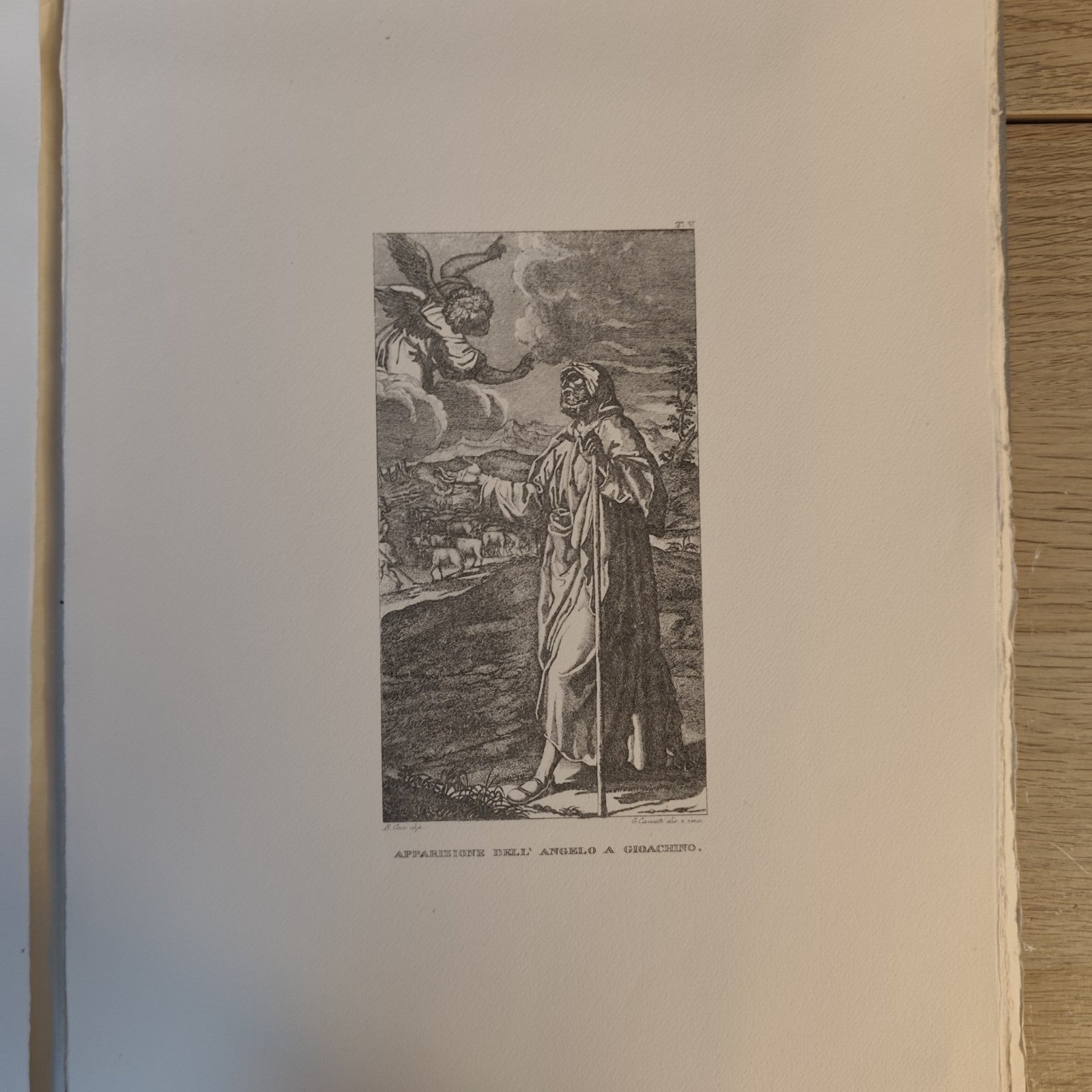 Pitture di Bartolommeo Cesi - Cartella con testo e tavole - Atesa 1972
