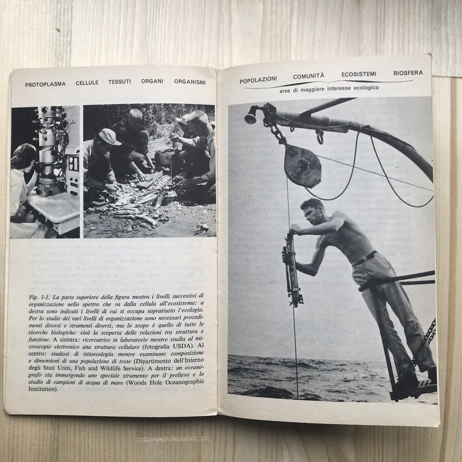 ECOLOGIA, Eugene P. Odum, zanichelli.