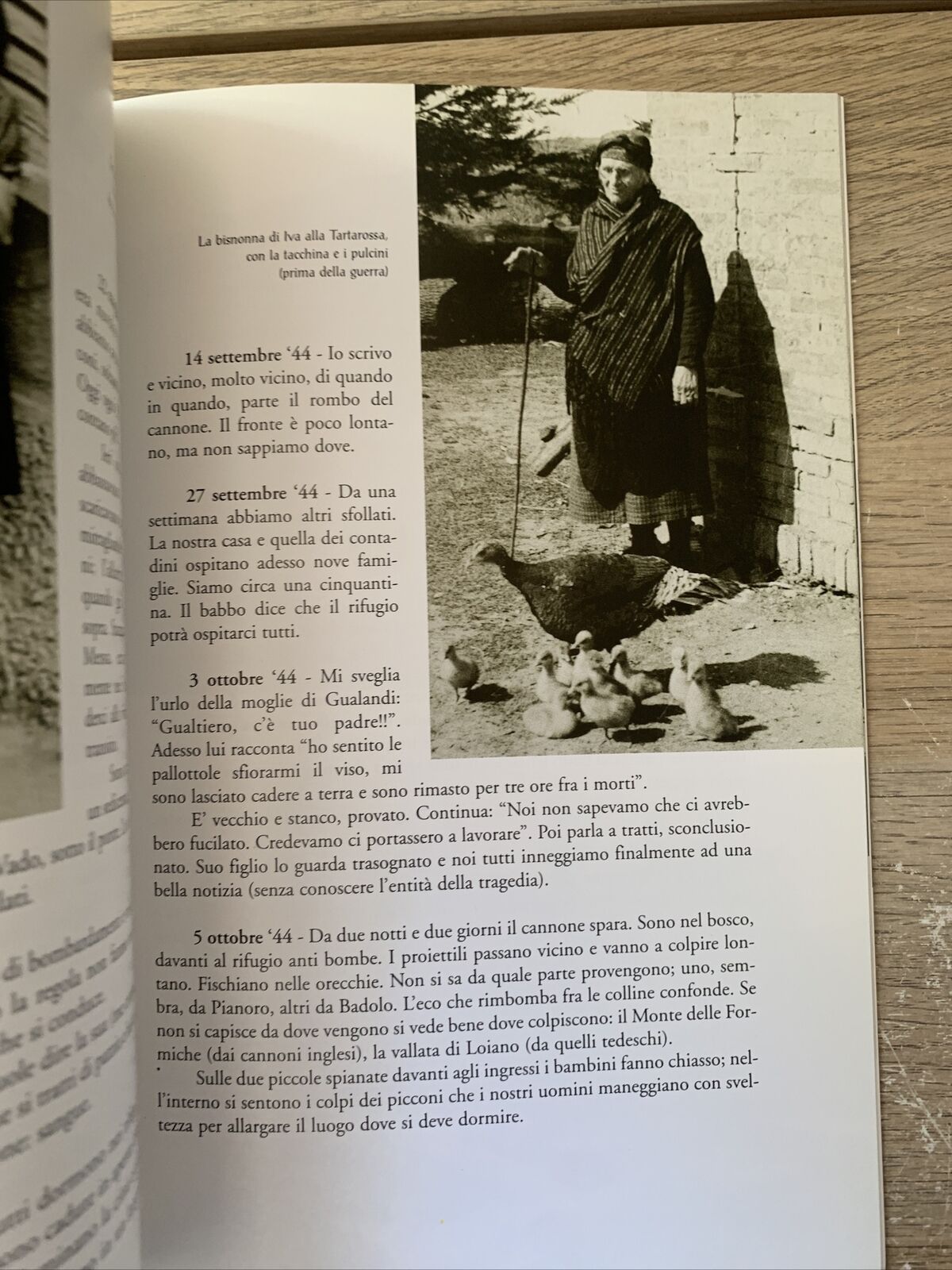 Dalle Parti di Monte Adone. M. Bellini Caianello. Brento Monterumici Badolo