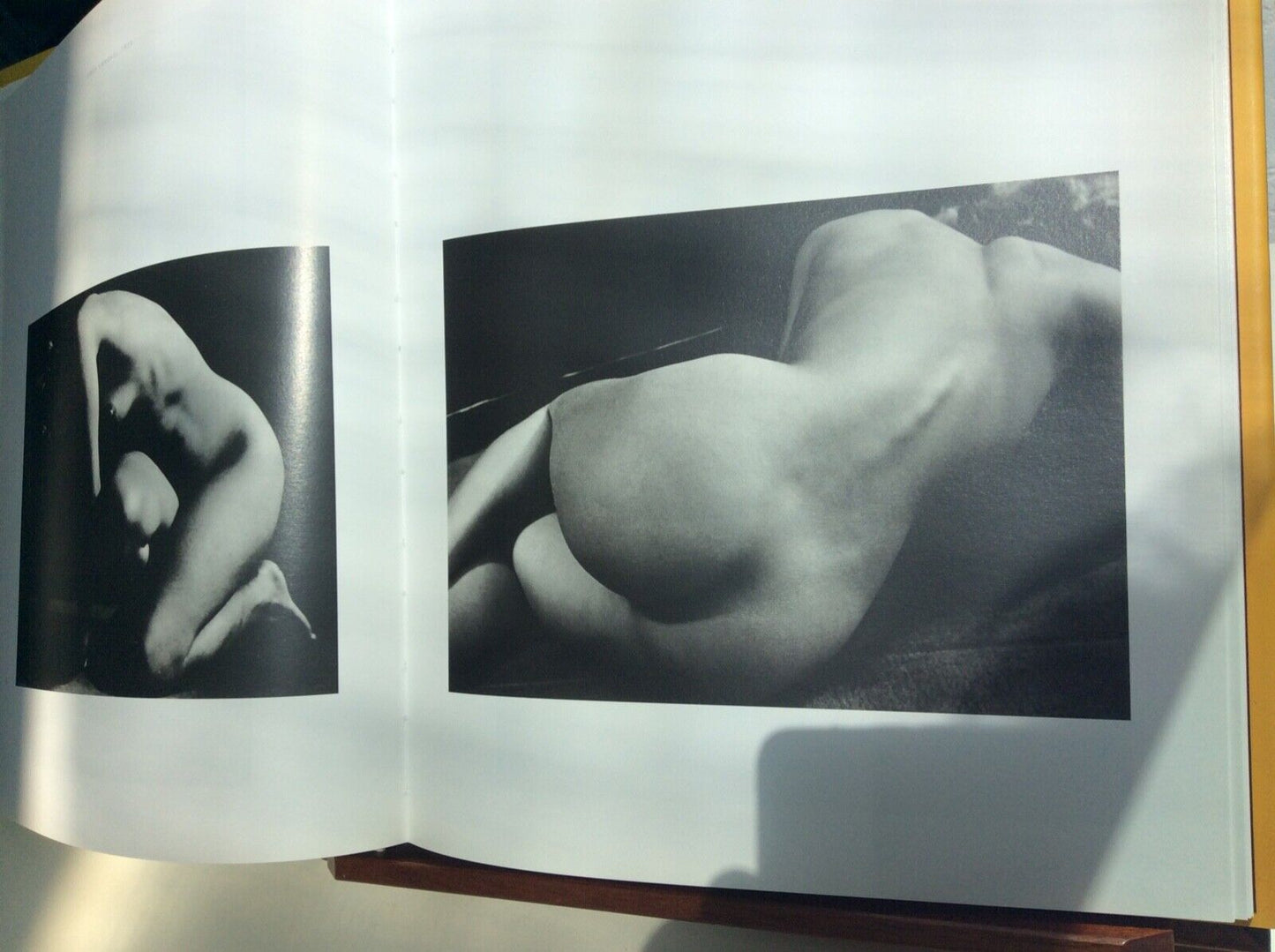 ASSIA SUBLIME MODELE, CHRISTIAN BOUQUERET - MARVAL