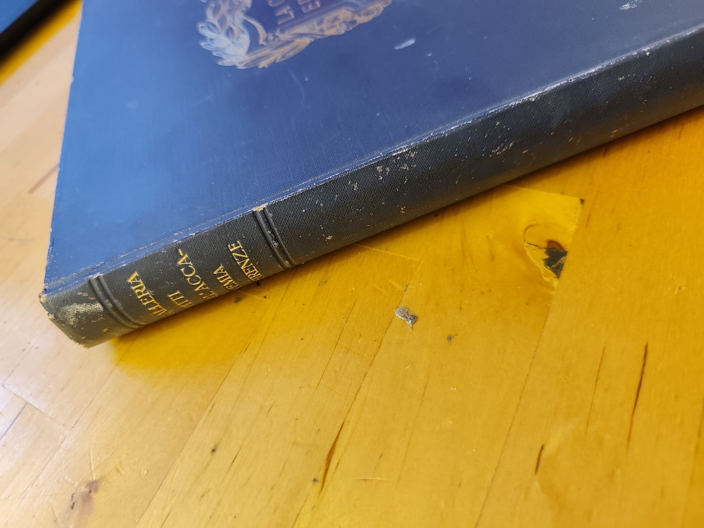 La galleria Pitti la galleria dell'Accademia Corrado Ricci, Arti Grafiche s.d