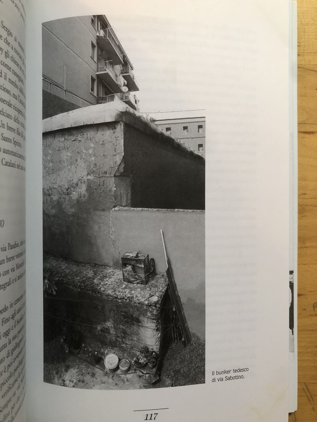 Il mistero della pietra alla scoperta di un antico segreto le strade di Bologna