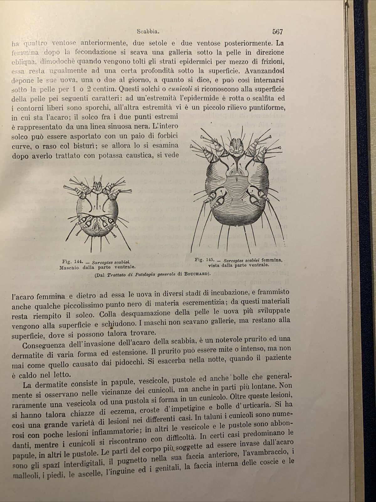 MANUALE PRATICO MEDICINA INTERNA - FEDERICO TAYLOR. UTET 1911. 2 VOLUMI #