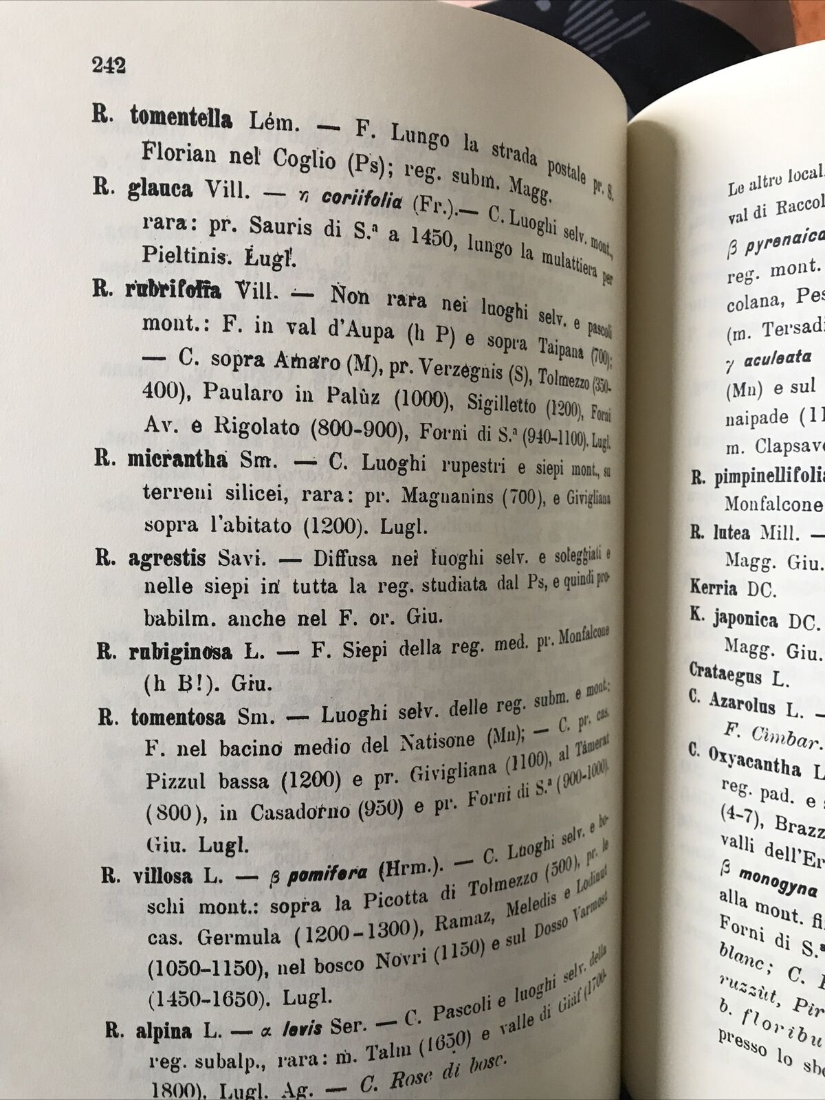 La flora friulana Luigi Michele  Gortani Arnaldo Forni editore CARNIA FRIULI 