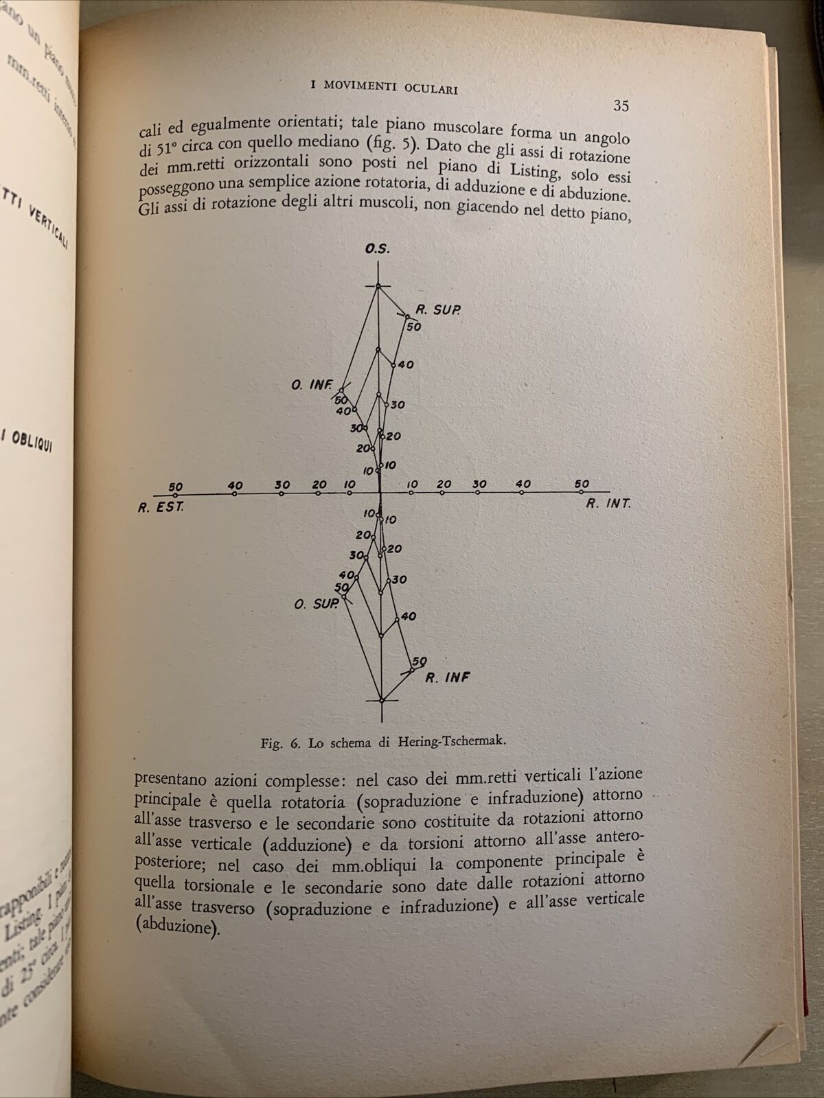 LE ETEROFORIE - CARLO TOSELLI 1957 Rosenberg & Seller #