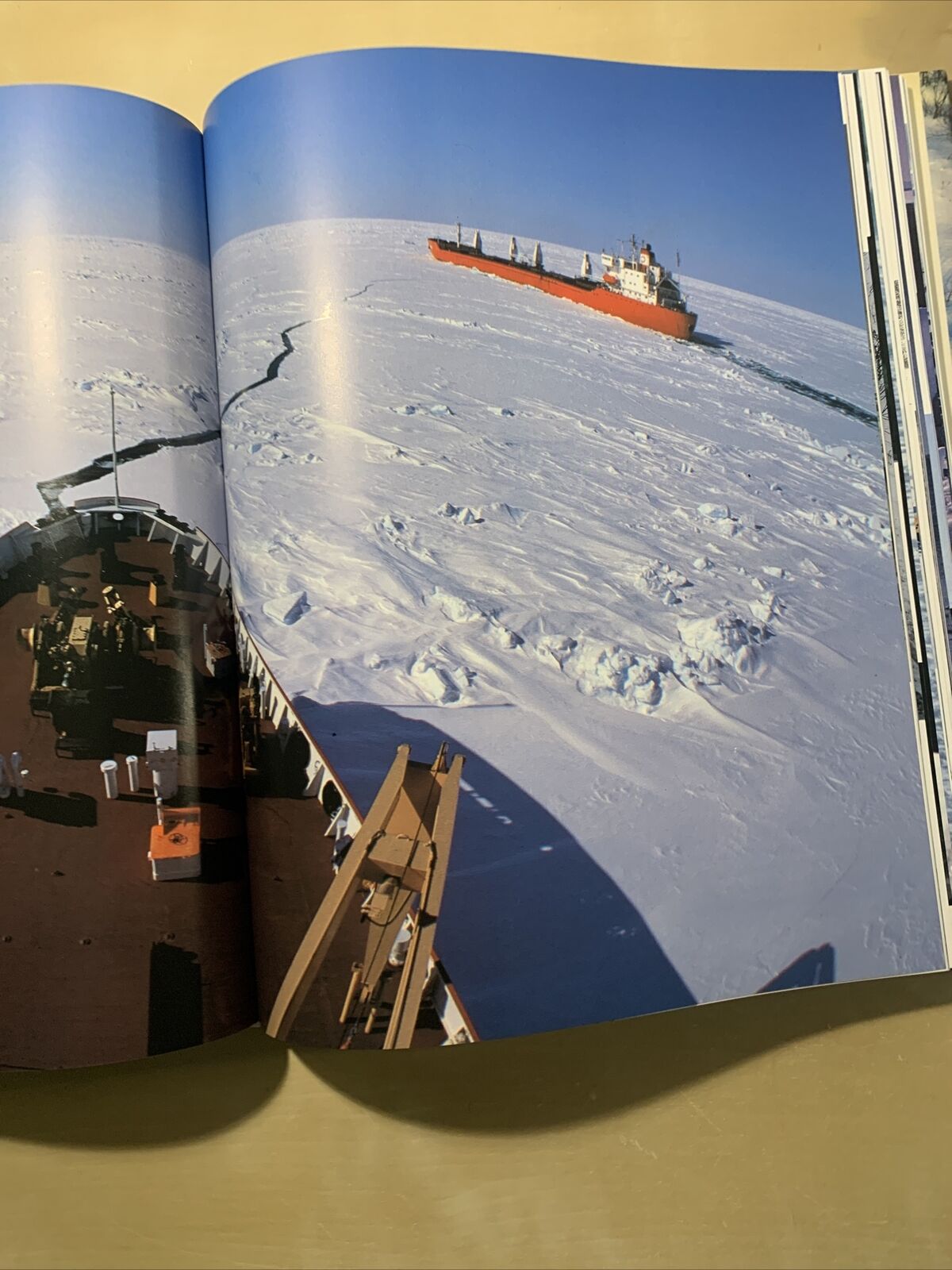 ARTICO - Brando Quilici, Una frontiera della Natura. Touring Club Italiano #