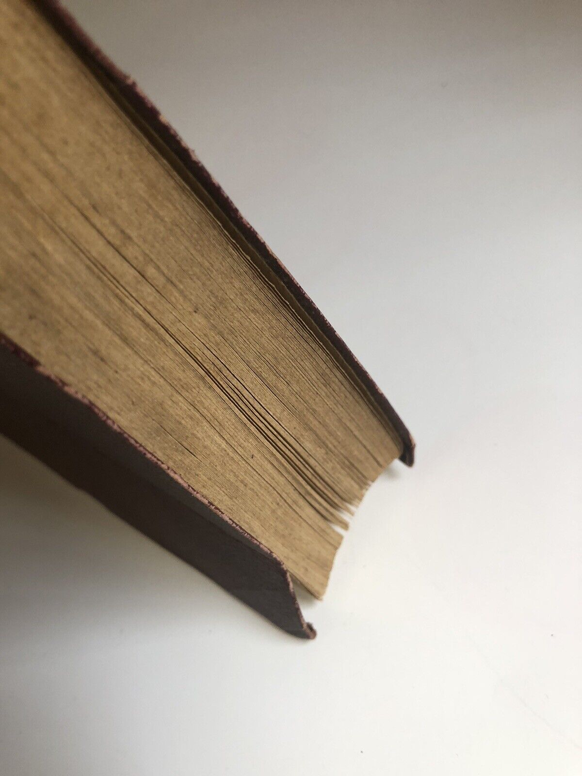 MASSIMO D'AZEGLIO, NICCOLÒ DE' LAPI i Palleschi e i Piagnoni 2 vol completo 1882