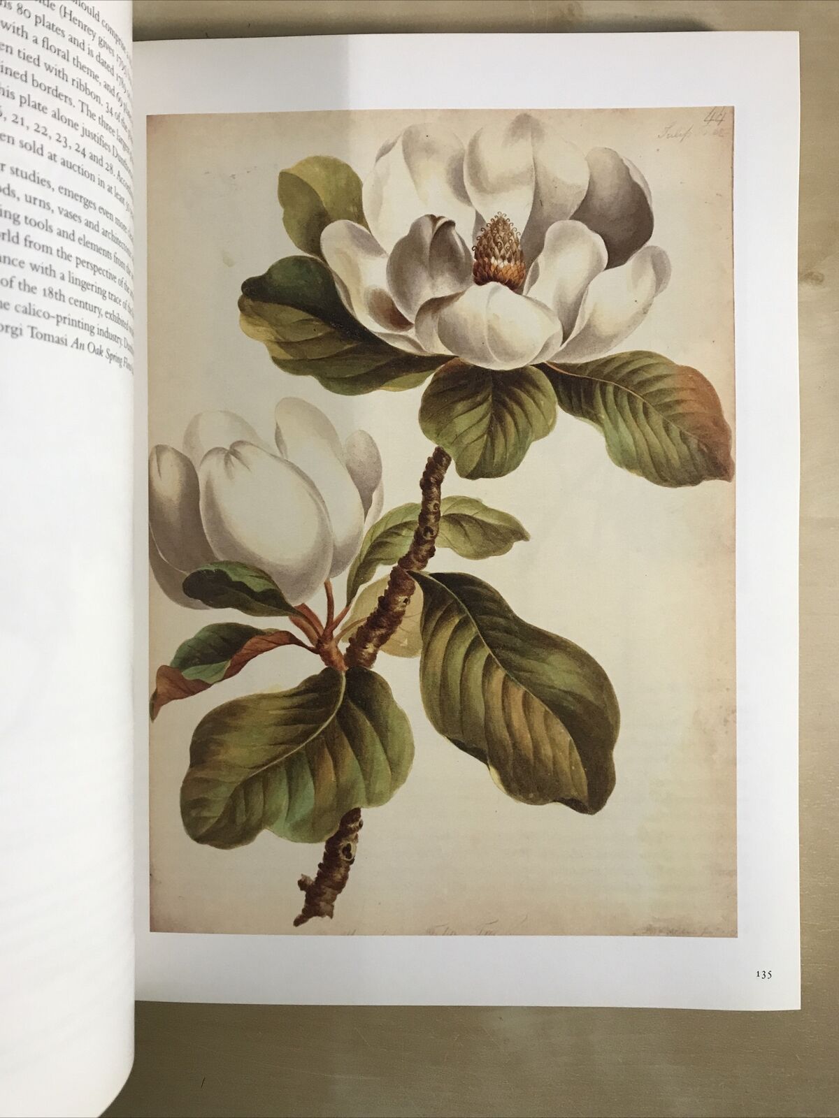 Fine Printed Books Manuscripts including Americana AUCTION CATALOG Christie's