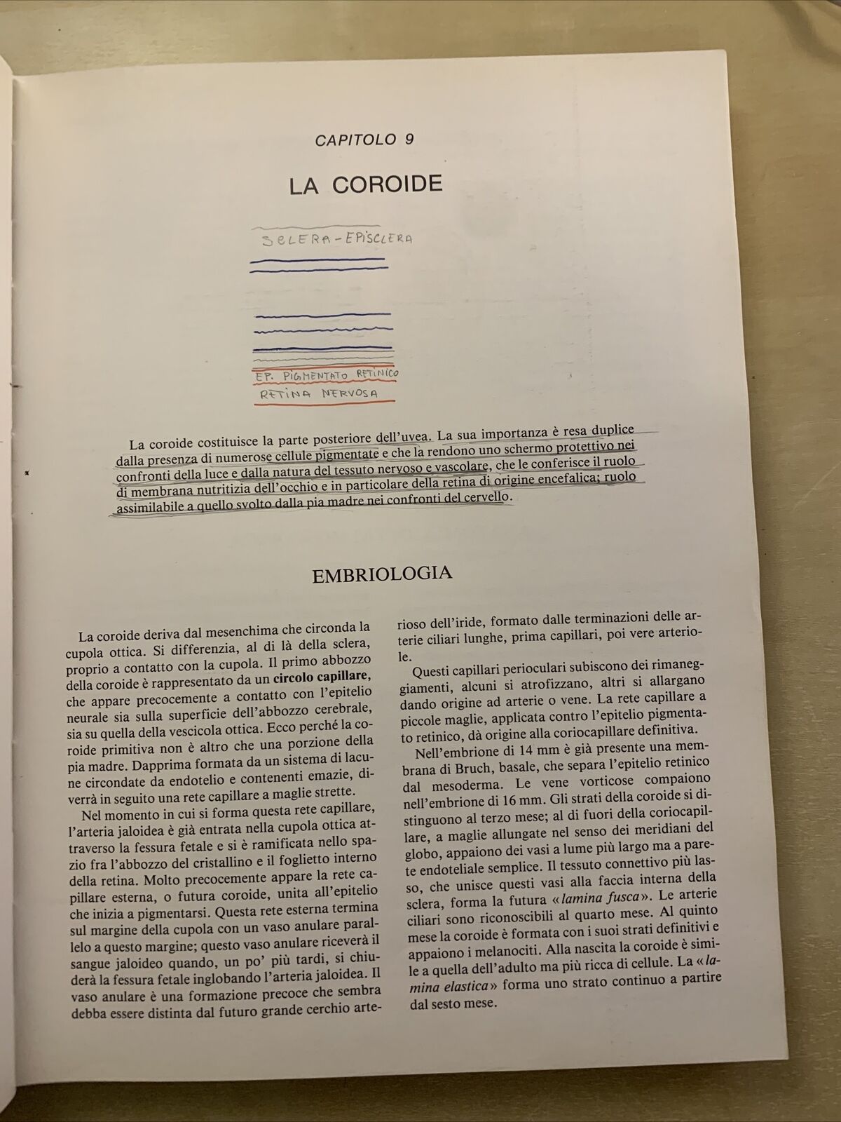 MANUALE DI ANATOMIA E ISTOLOGIA DELL'OCCHIO - SARAUX, LEMASSON, OFFRET. MASSON #