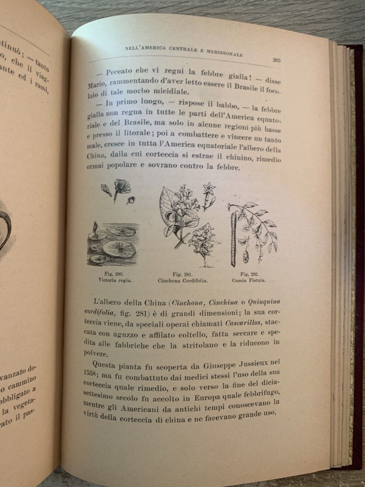 La Botanica Ricreativa, Giuseppe Roda. Paravia 1907 meraviglie della vegetazione