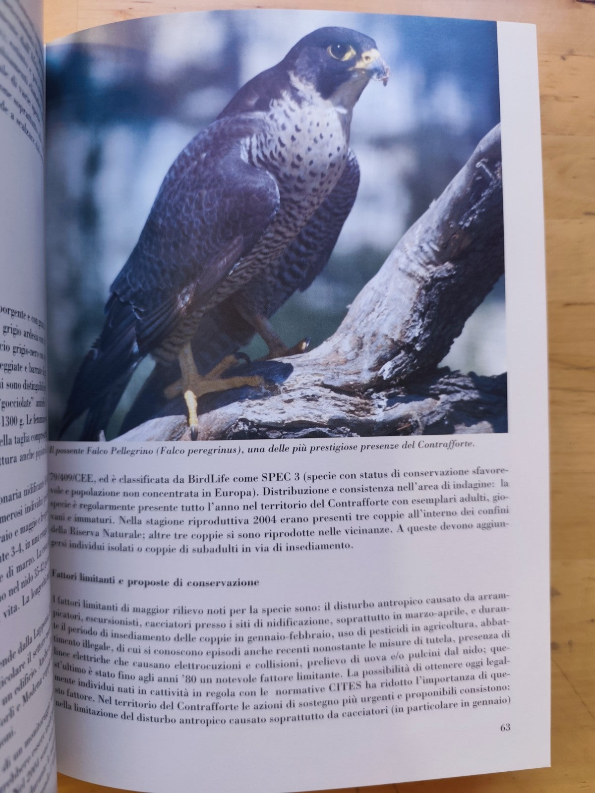C'era una volta il mare. . . natura e storia tra il Sasso e il Monte delle Formi