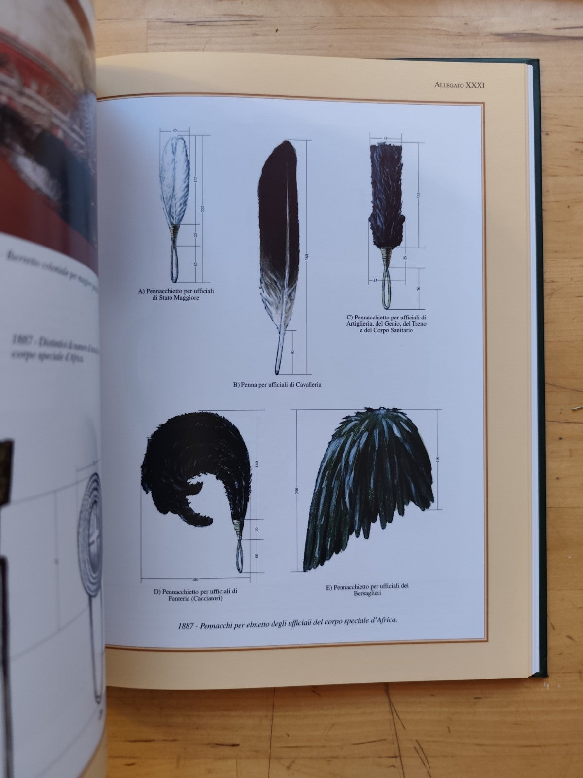 Soldati d'Africa colonialismo italiano truppe d'africa R. Catellani, Stella v. 1