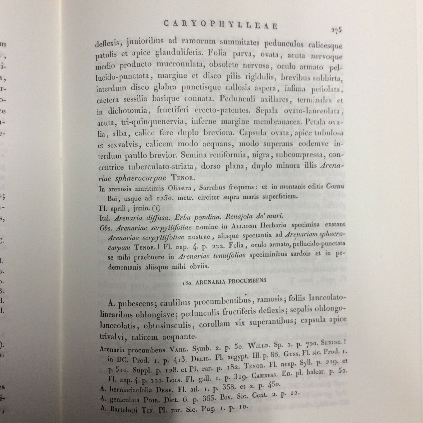 FLORA SARDOA SEU HISTORIA PLANTARUM, JOSEPHO HYACINTHO MORIS, ANASTATICA FORNI