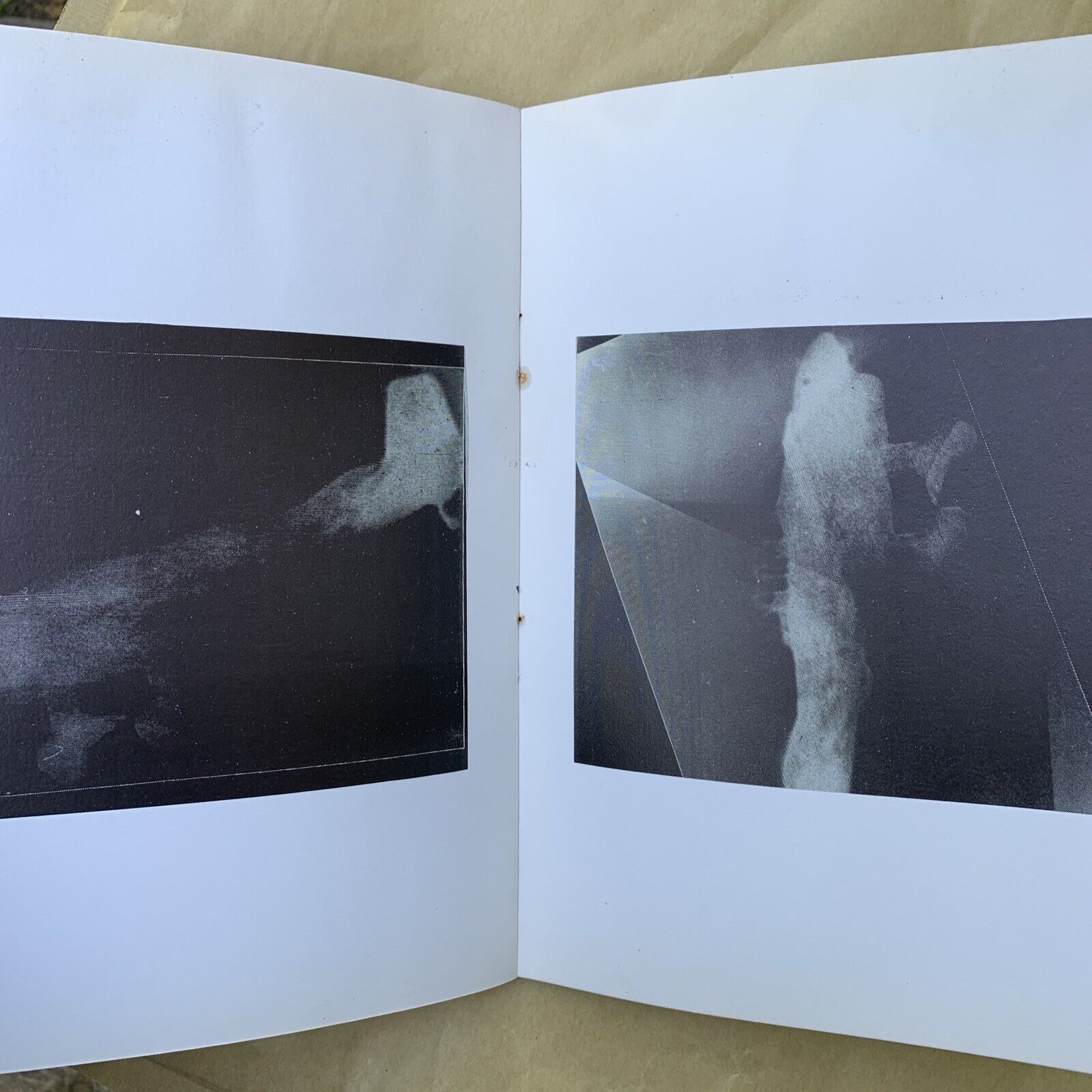 PAUL RENNER - Turin ist vielleicht scheiss stadt, Panda's edition 1979 #