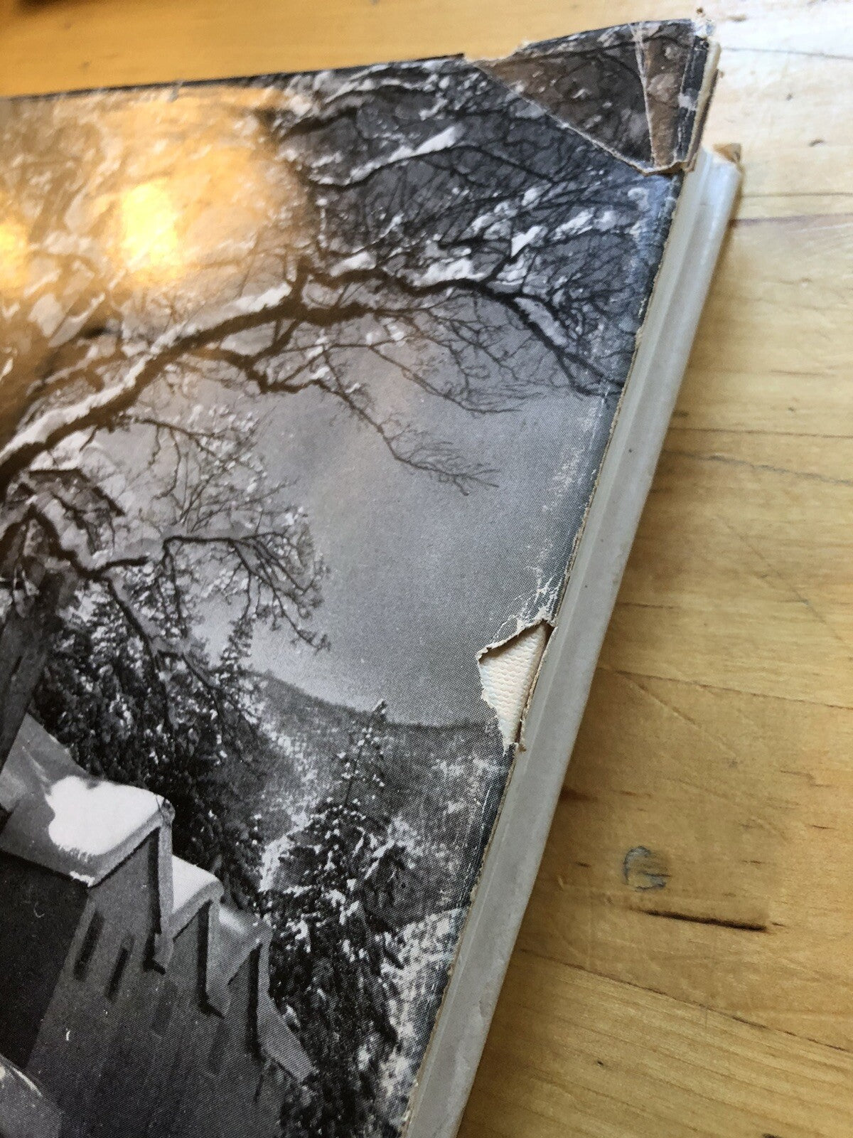 Chiese e Santuari della montagna Bolognese, G. Rivani. Tamari edizioni 1965