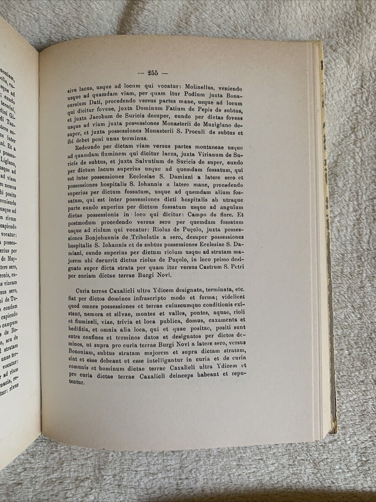 Storia documentata di Castel San Pietro dell'Emilia, Lodovico Frati. Atesa 1975