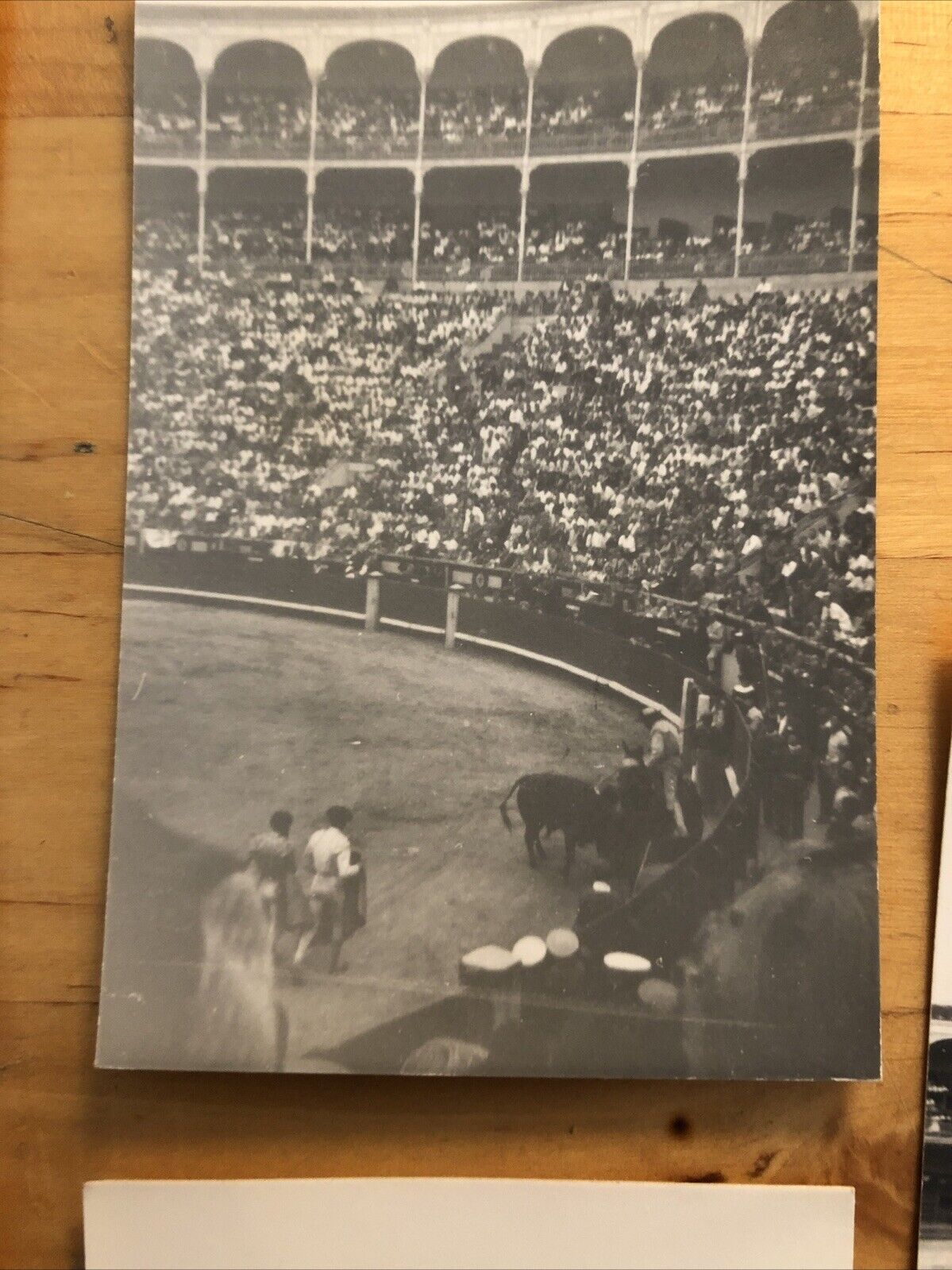 Fotografie MADRID - CORRIDA  5 foto anni '50 originali