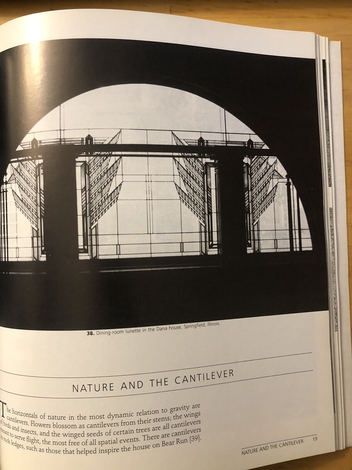 Frank LLoyd Wright - Architecture and nature. Donald Hoffmann 1986 ARCHITETTURA