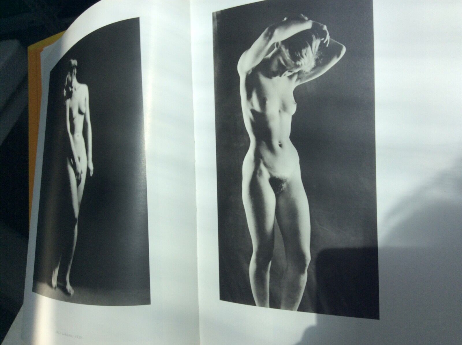 ASSIA SUBLIME MODELE, CHRISTIAN BOUQUERET - MARVAL
