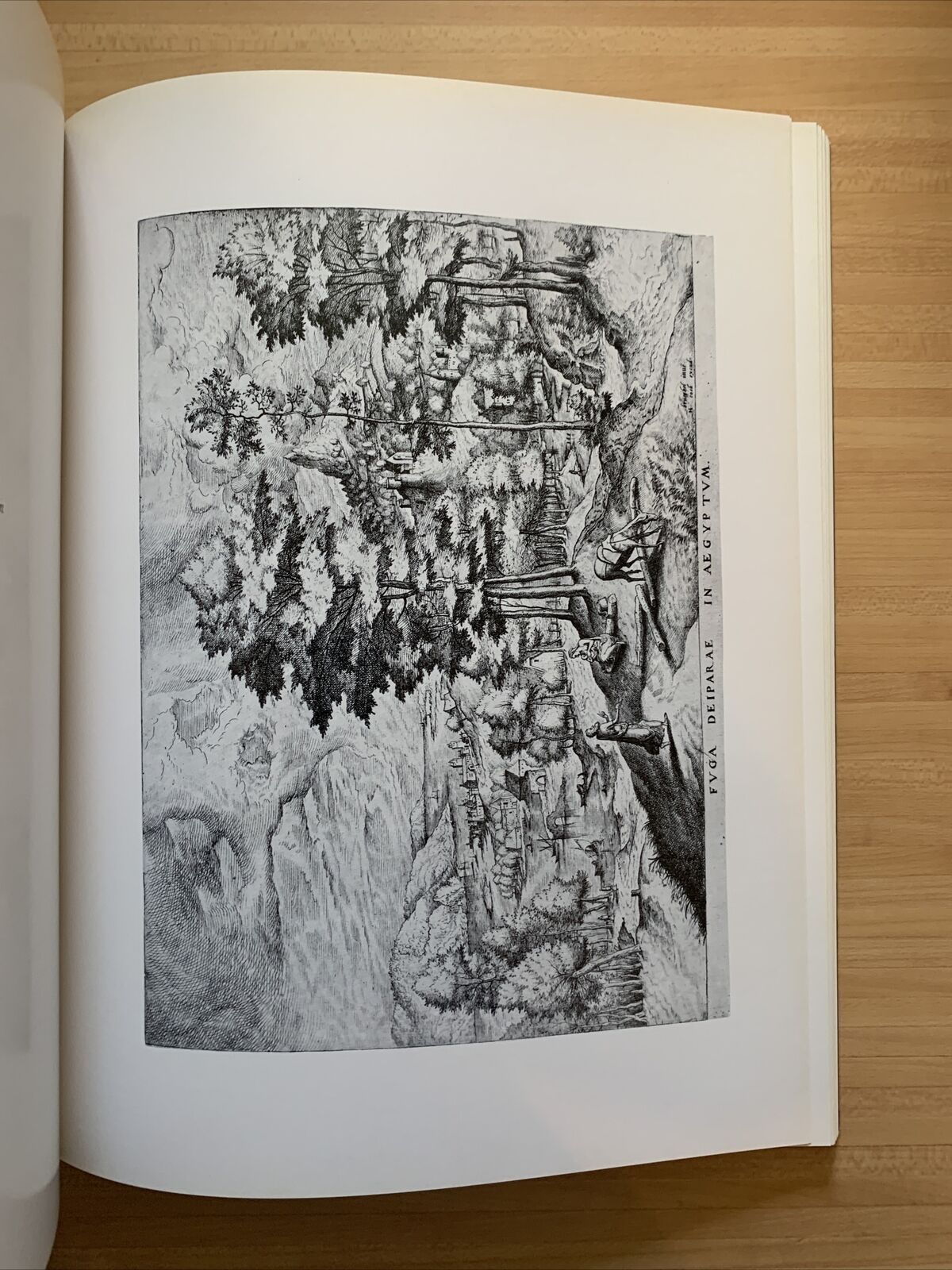 IL PERCORSO DELL'INCISIONE EUROPEA - GALLERIE SALAMON AGUSTONI ALGRANTI 1984 #