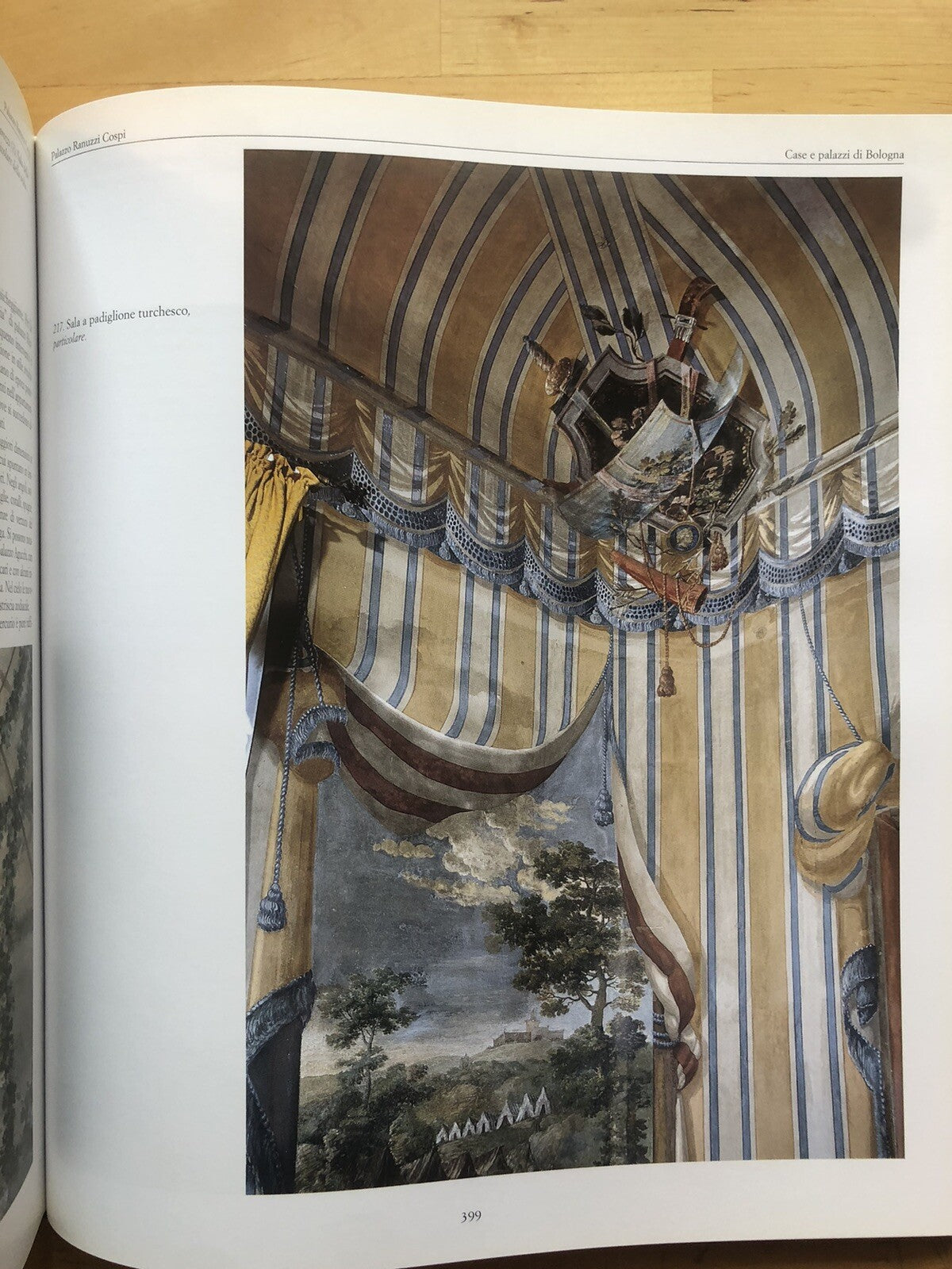 I decoratori di formazione bolognese tra Settecento e Ottocento da Mauro Tesi ad